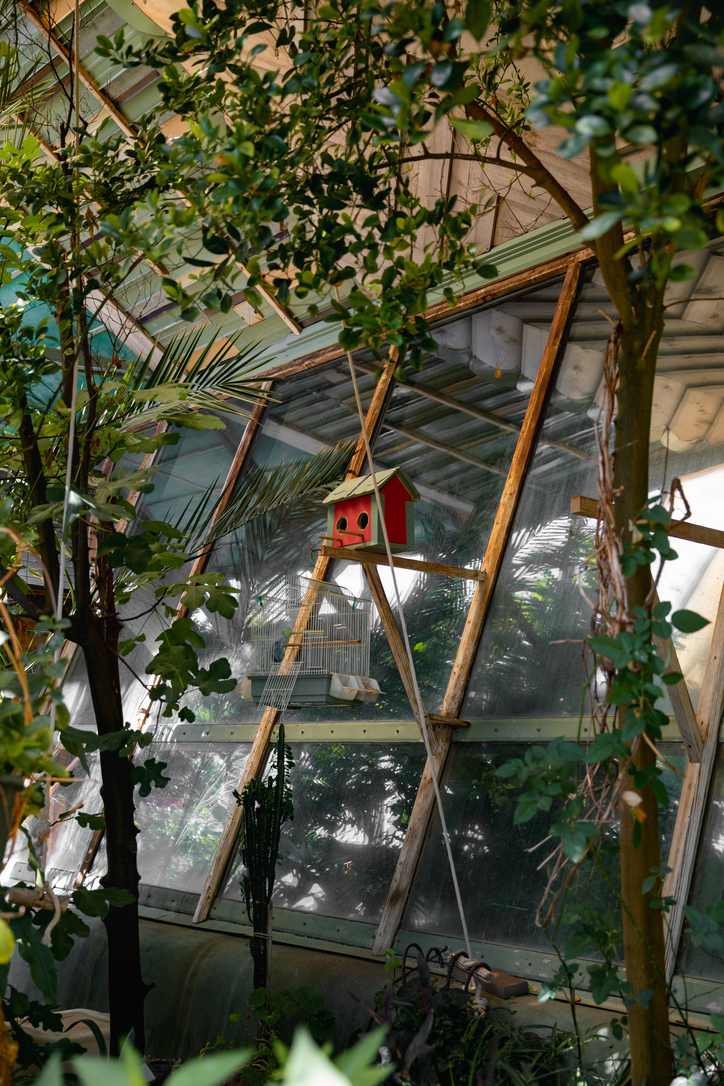 The image shows the interior of a green house or garden structure with various plants and trees. There are shelves with birdhouses, bird cages, and gardening tools visible inside.