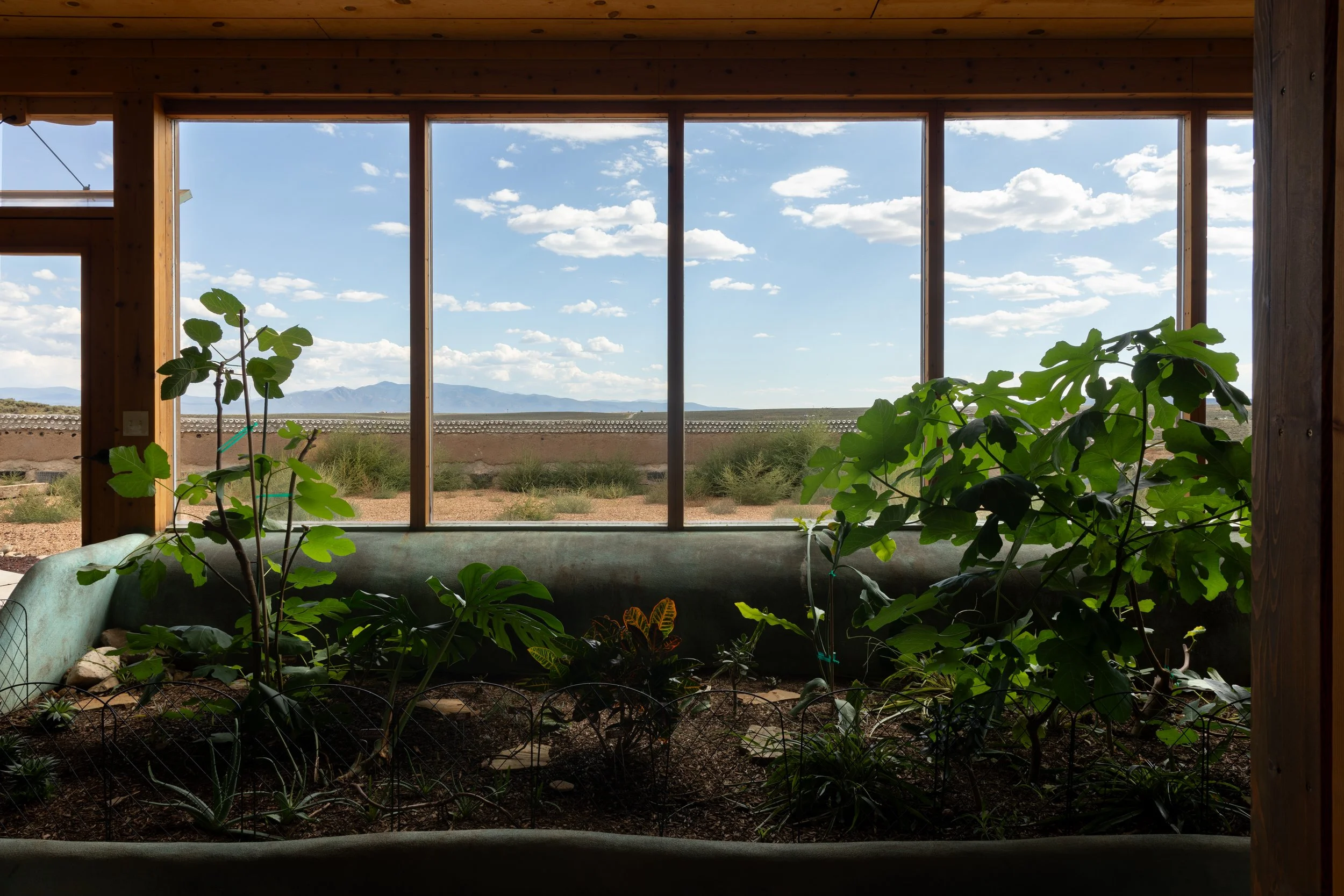 Indoor gardening area with plants and a window view of desert landscape and mountains.