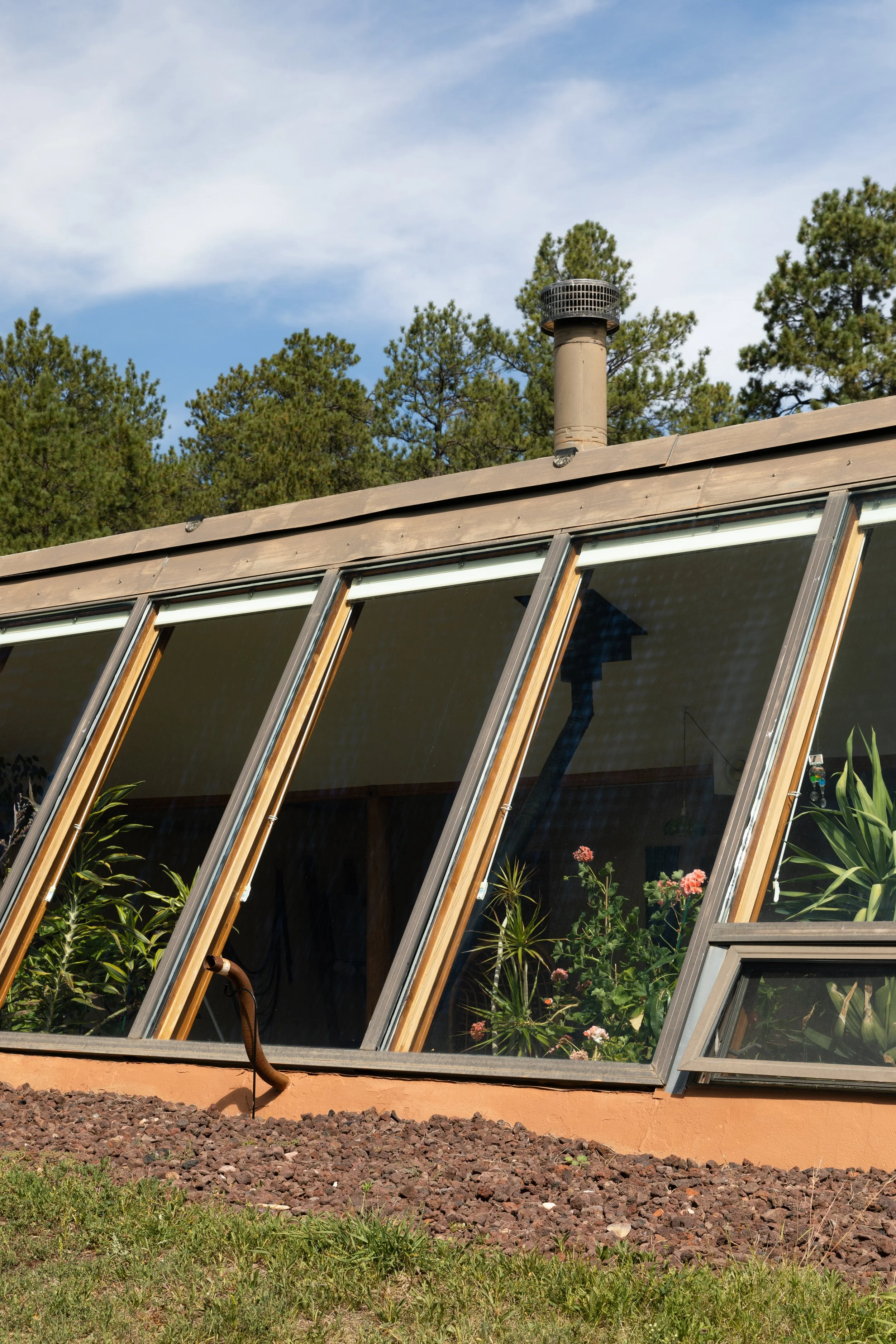 A greenhouse with large glass windows and wooden frames, surrounded by green plants inside, with a pipe on the roof and tall trees in the background.