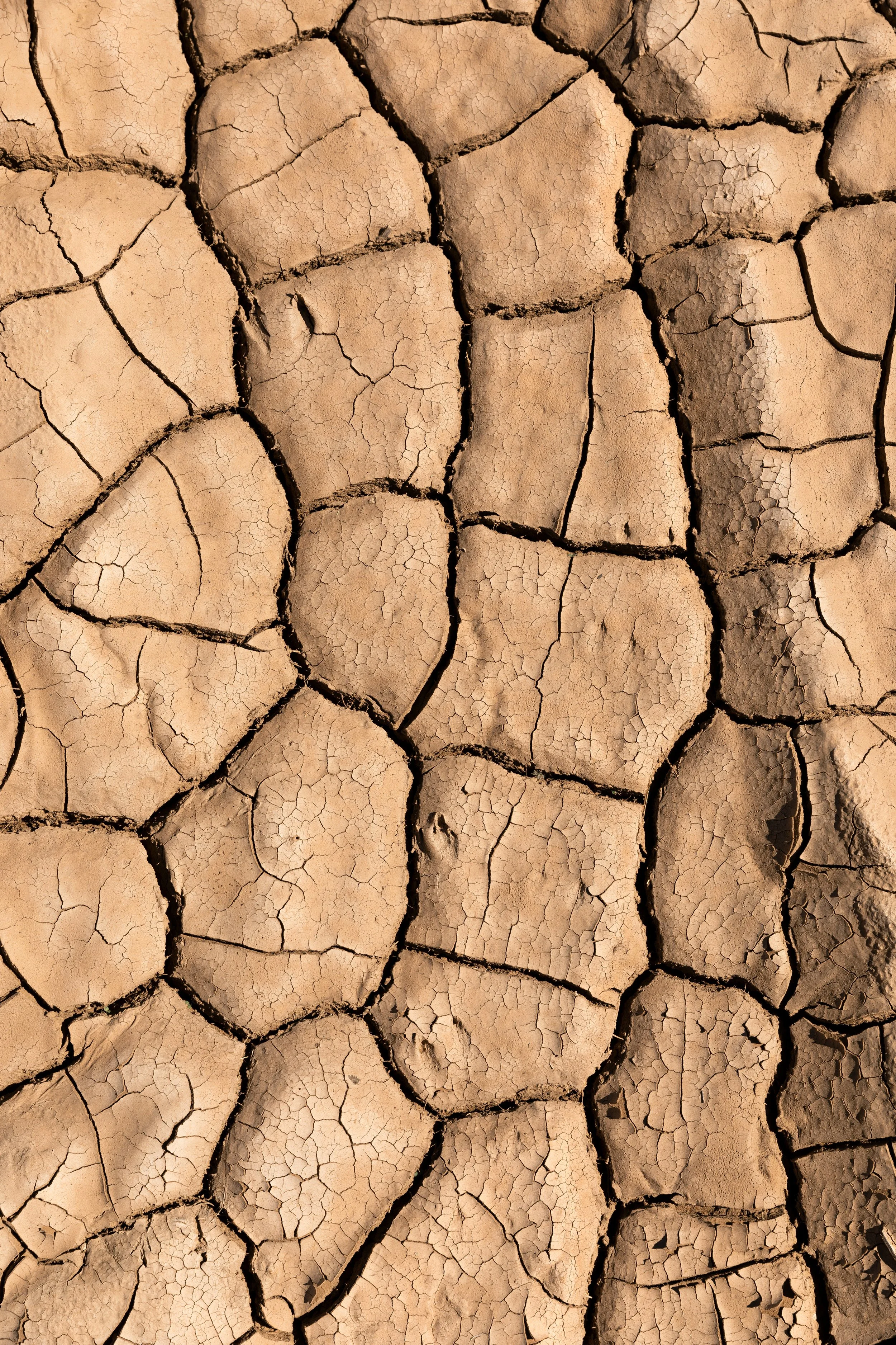Close-up of cracked, dry earth, showing irregular cracked patterns and textures.
