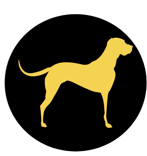 UpDog Improv –  We Teach Fun