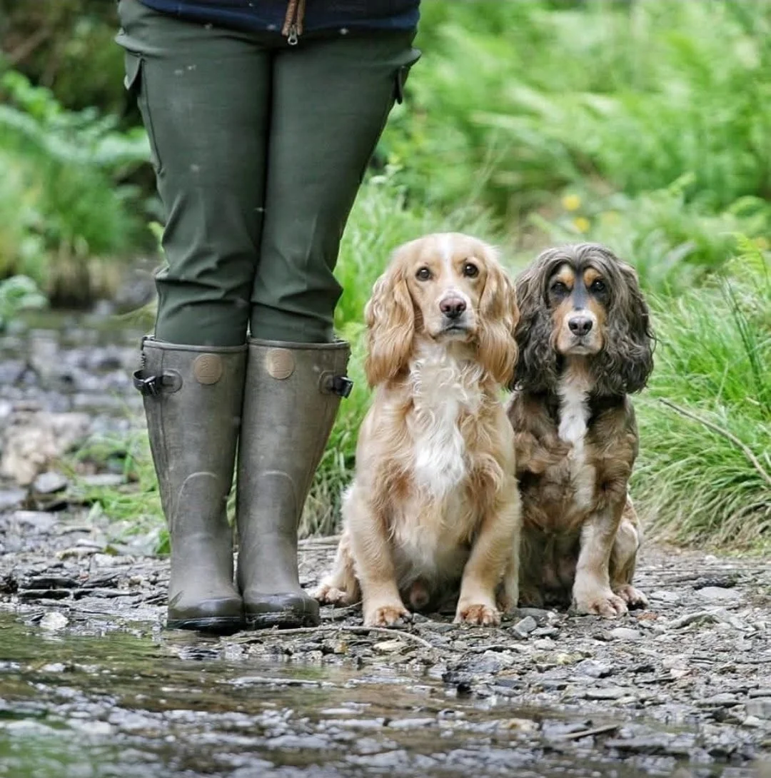 Person wearing green boots standing with two dogs on a rocky path surrounded by green grass and trees.