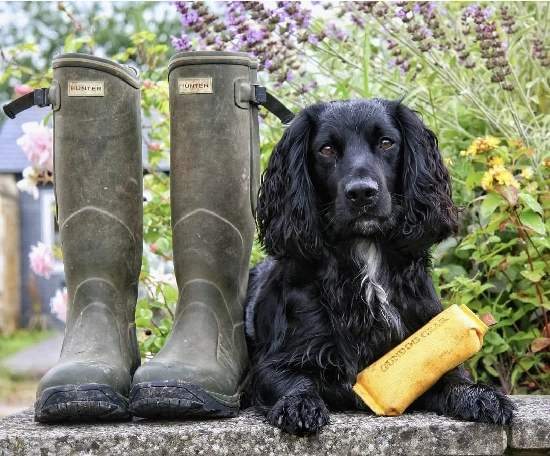 The Woodland Way Package