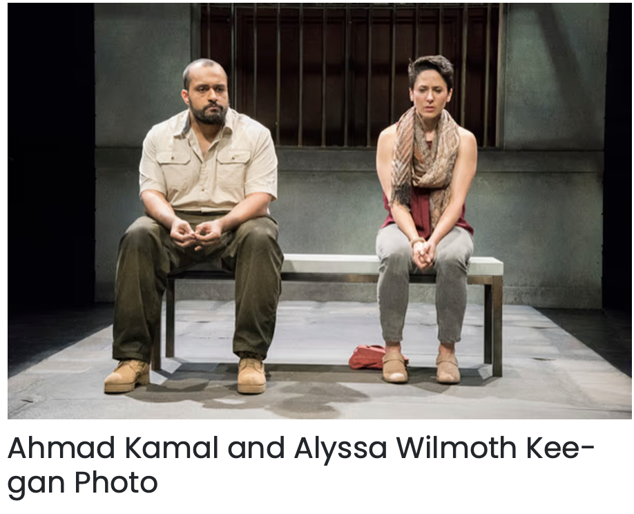 The Return/Mosaic Theater
"The performance by Kamal and Keegan — full of listening, compassion and pain, marked by deep unhealed wounds — is as compelling as it could be. That creates a sustained face-off that never loses its tension, and a show with