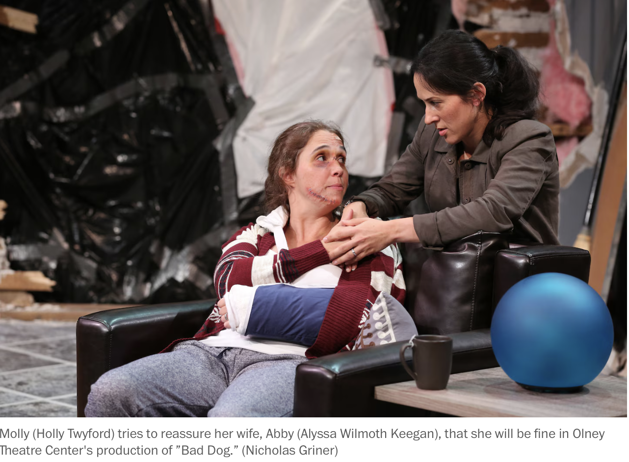 Bad Dog/Olney Theater Center