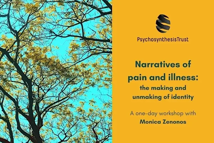 Narratives of pain and illness: the making and unmaking of identity