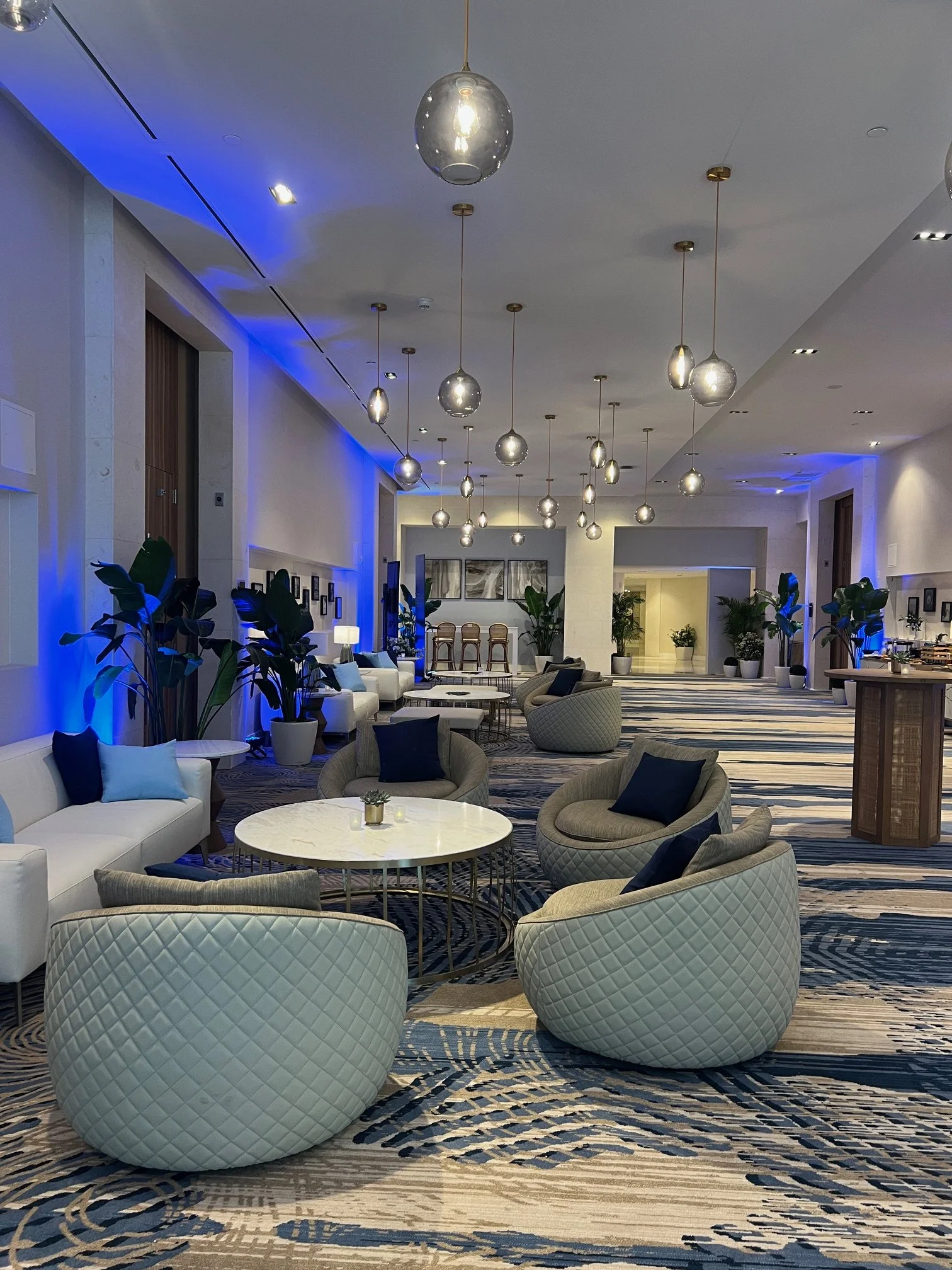 Temporary Tropics l Trusted + Top Live Foliage Rentals l Serving the State of Florida l Highly Rated + Recommended Premier Vendor Partner for Premium Plant Rentals in South Florida, Central Florida, West Florida and North Florida