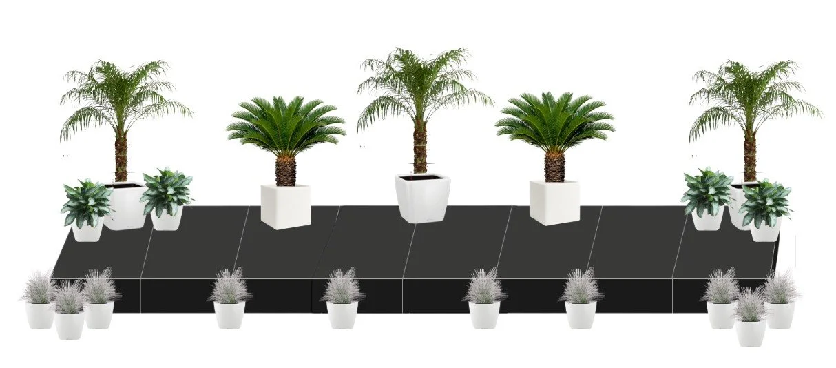 Case Study: Case of Coastal Vibes 