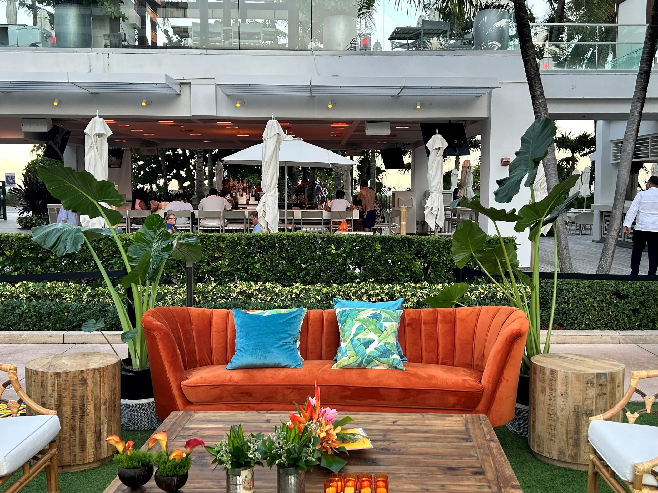 How to Choose the Perfect Plants for Your Space: Lighting, Humidity &amp; the Art of Thriving Greenery