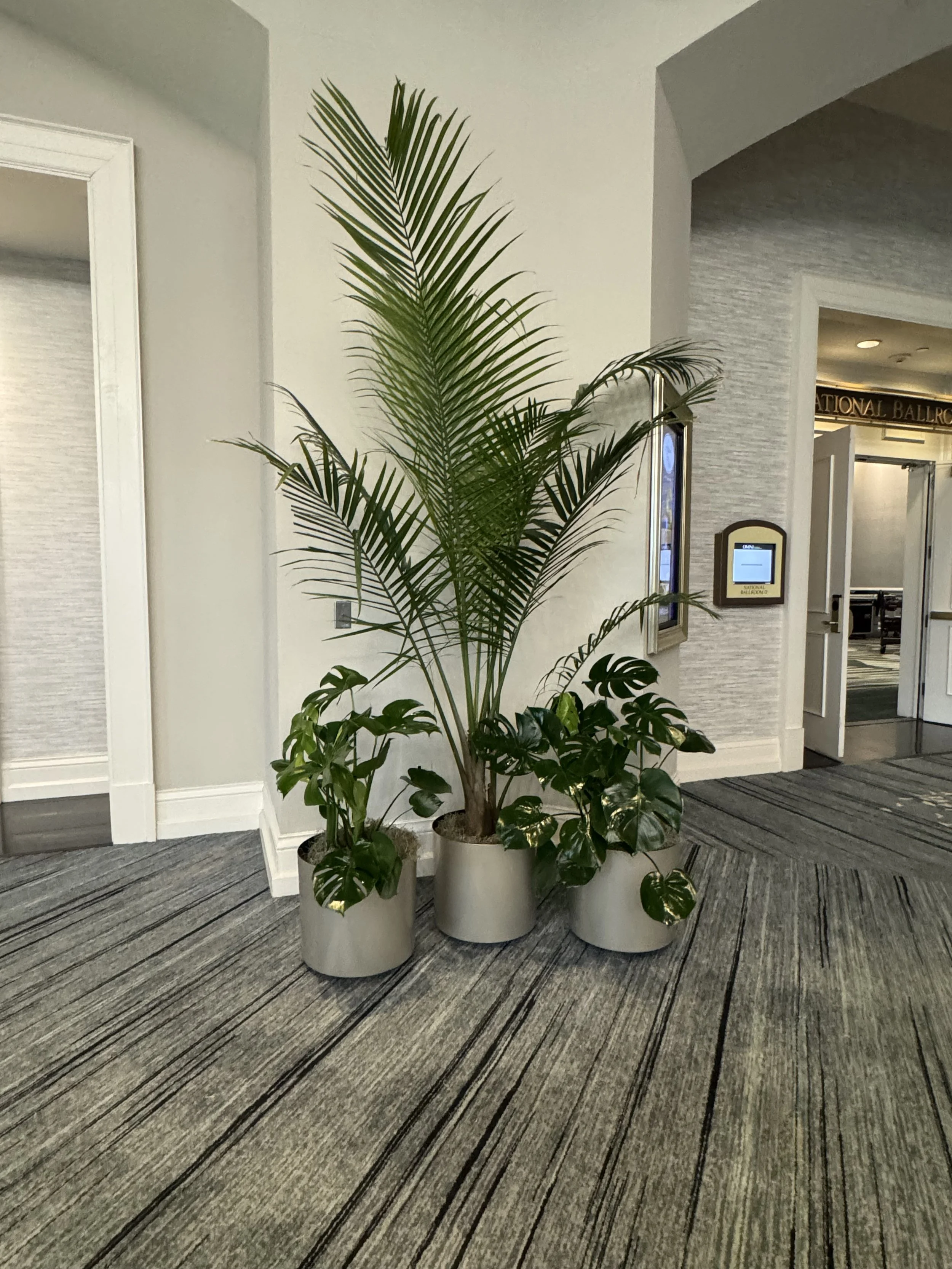 CASE STUDY: Designing Rotundas with Live Foliage: Creating a Grand Botanical Welcome