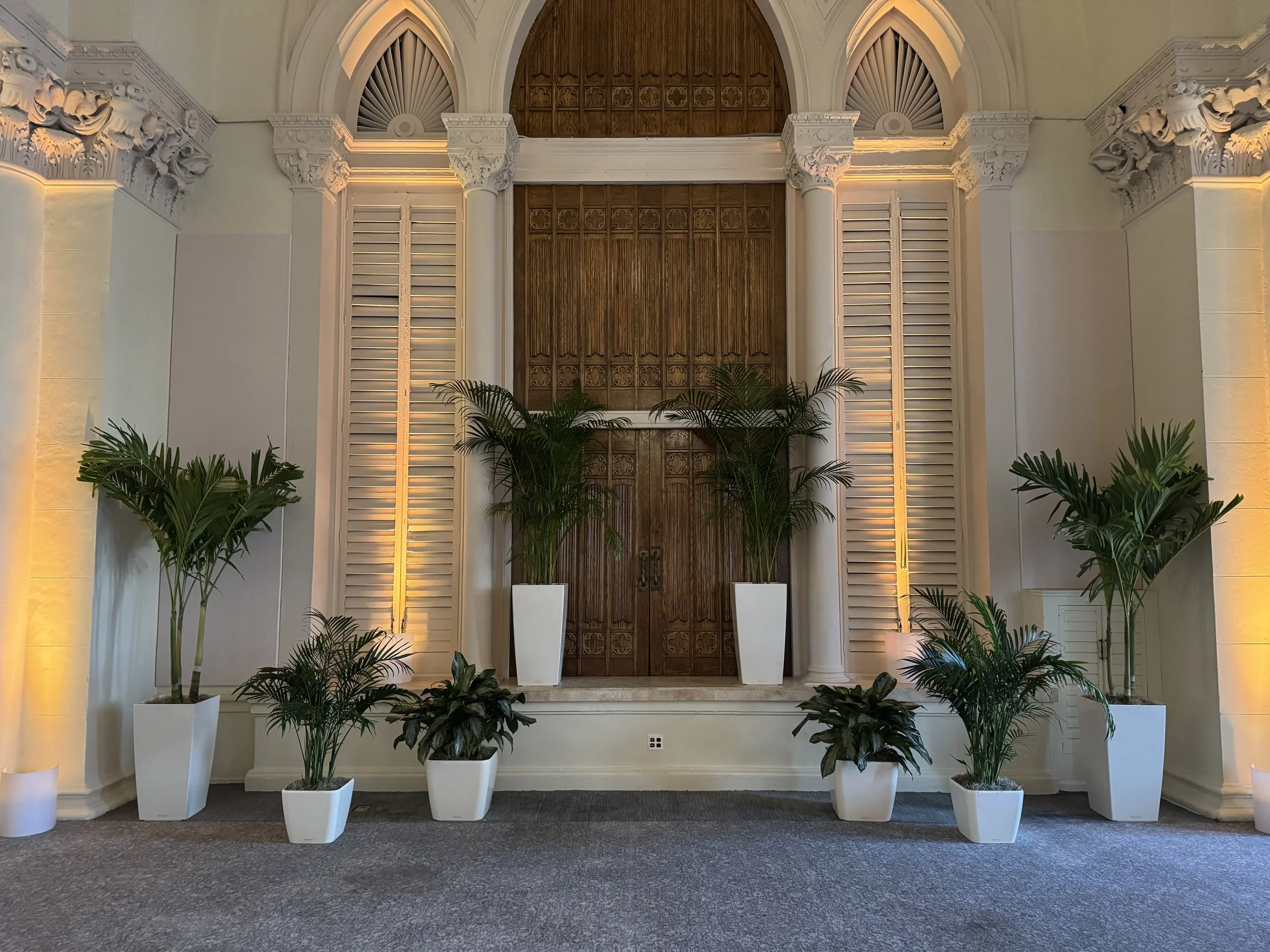 CASE STUDY: Cinematic Greenery Design: Creating a Dramatic Focal Point with Live Foliage