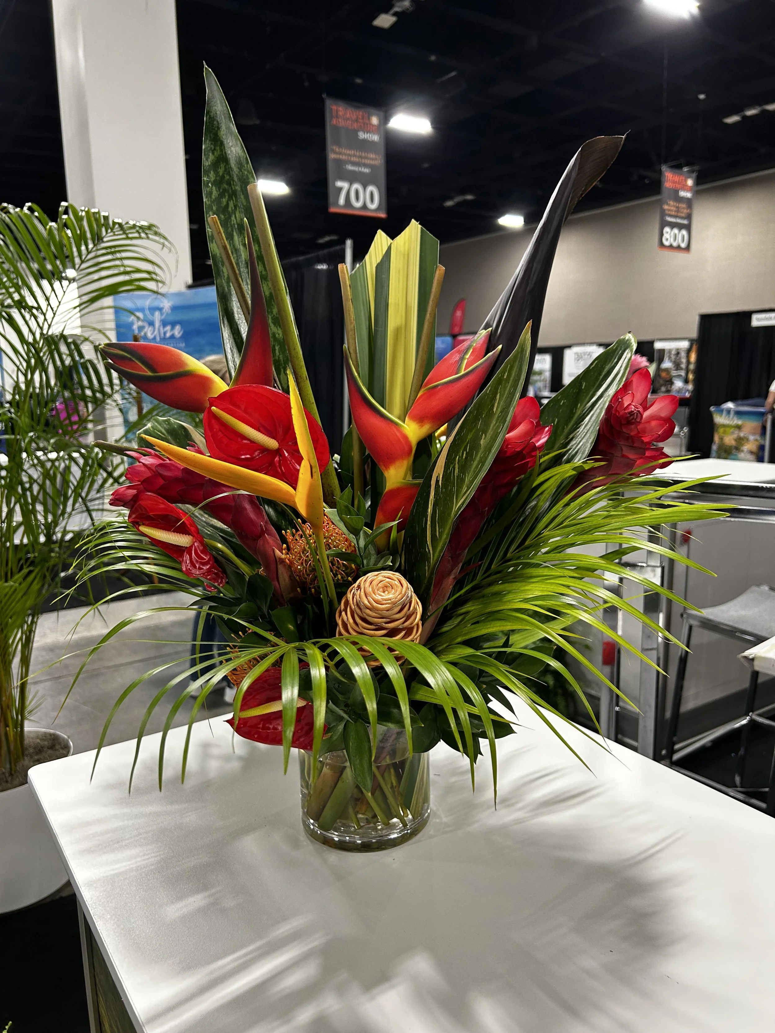 CASE STUDY: Bringing Island Energy to an Exhibit Space with Tropical Greenery