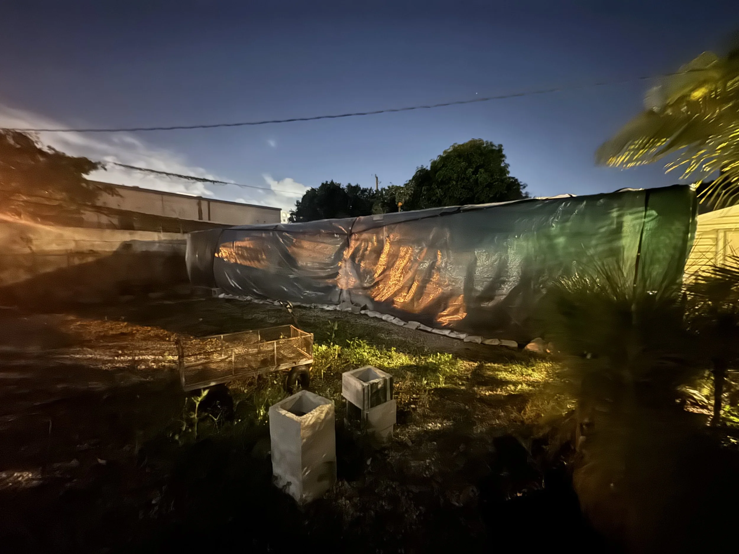 CASE STUDY: How Master Botanist Joseph Michel Protected Our Living Inventory During the 2026 Frost