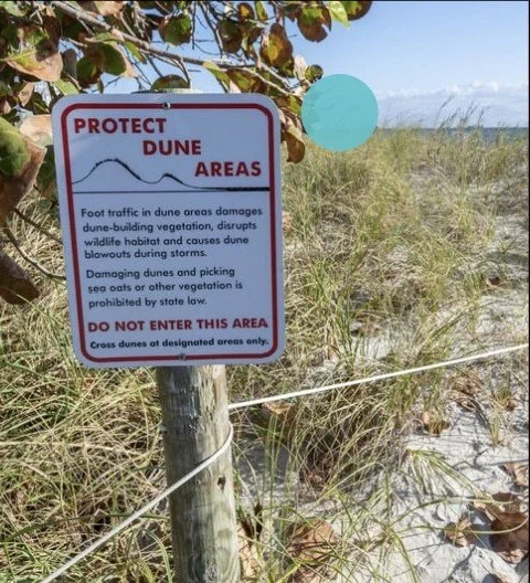 CASE STUDY: Designing Elevated Experiences with Purpose