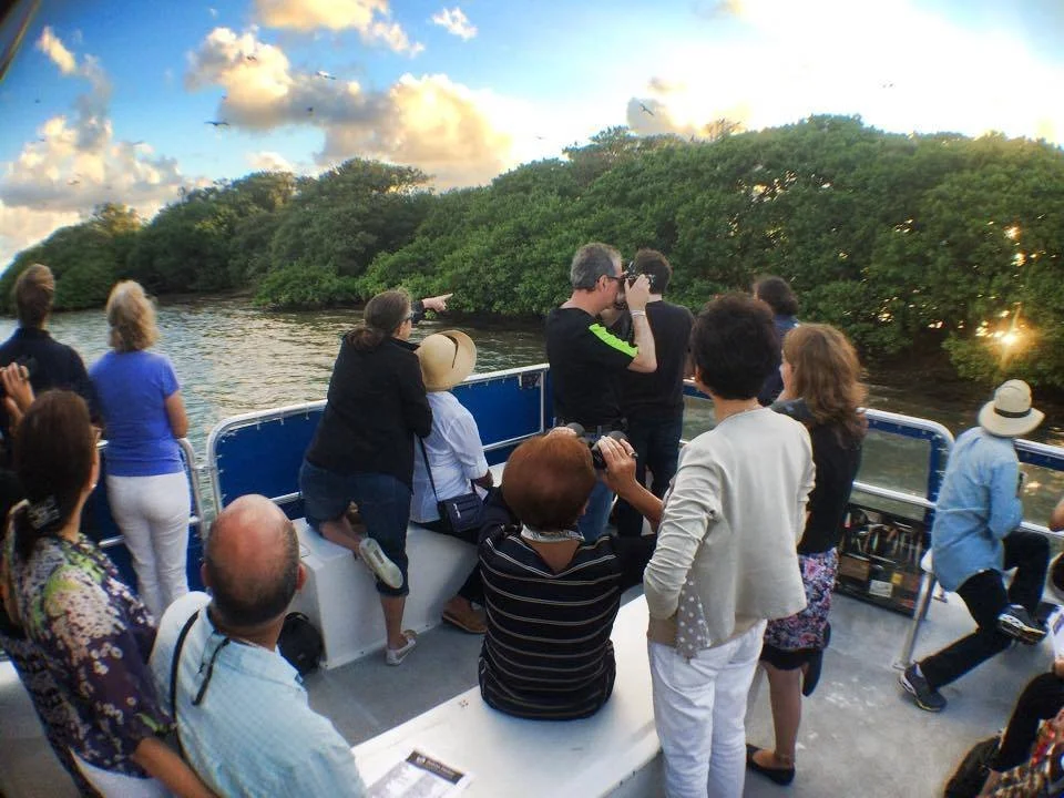 CASE STUDY: A DAY RESTORING OUR SHORELINES AND REHABILITATING PELICANS 