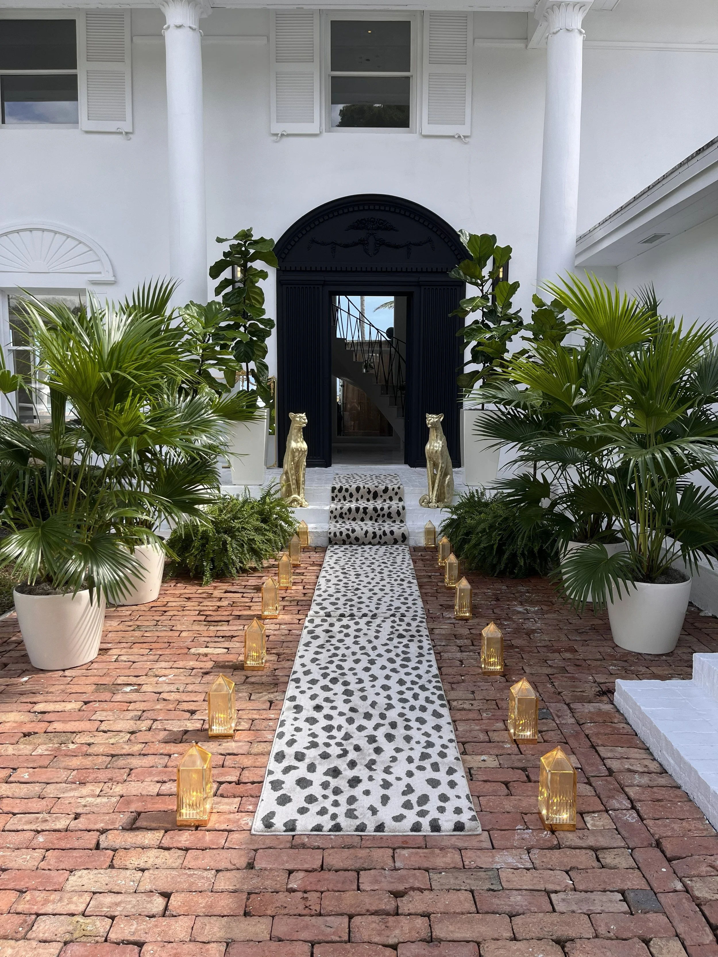 CASE STUDY: Why Plant Rentals Are the Most Undervalued Asset in Event Design