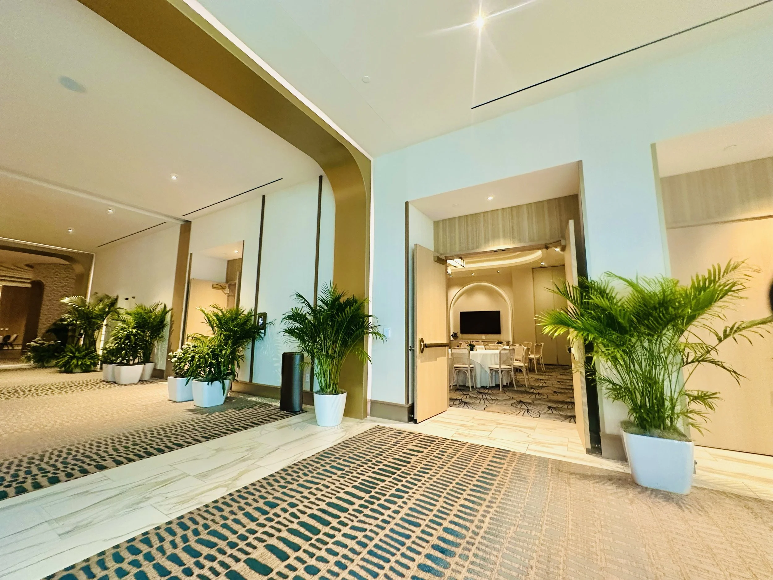 Elevating Executive Conferences with Live Foliage: How Simple Greenery Creates a Luxury First Impression