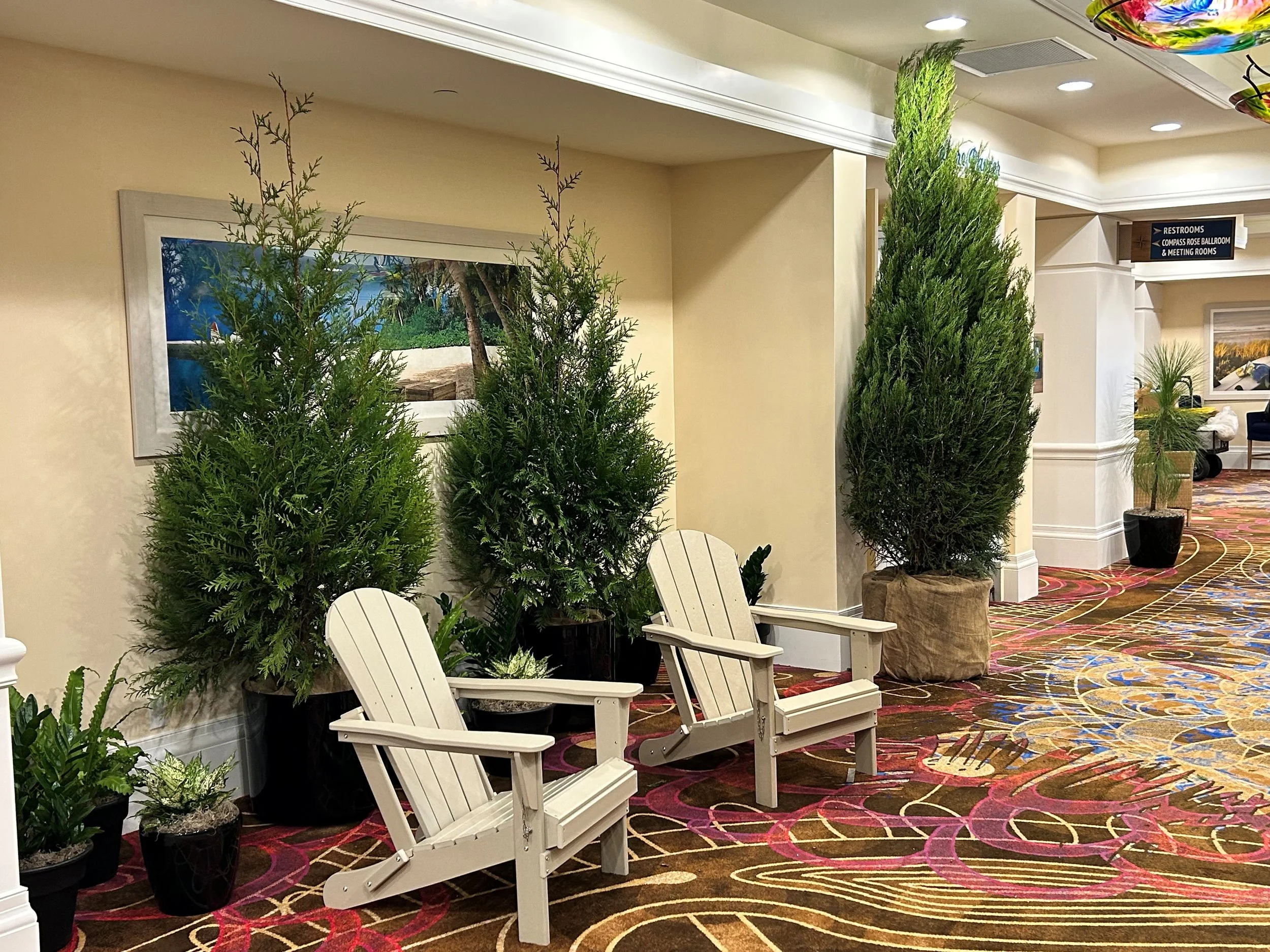 Green Giant Arborvitae: The Ultimate Living Privacy Wall for Luxury Events