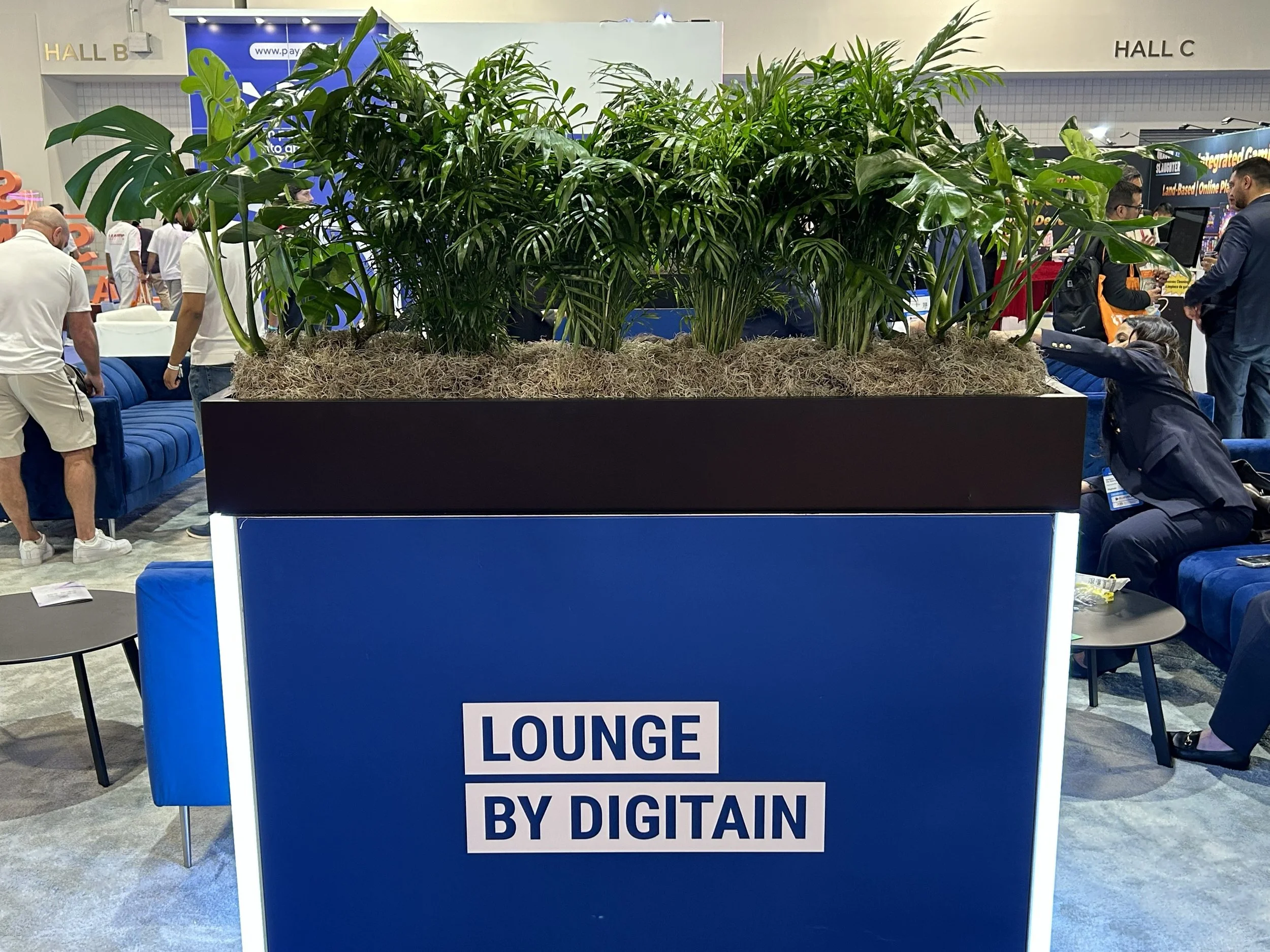 Broward County Live Foliage Rentals for Meetings + Events