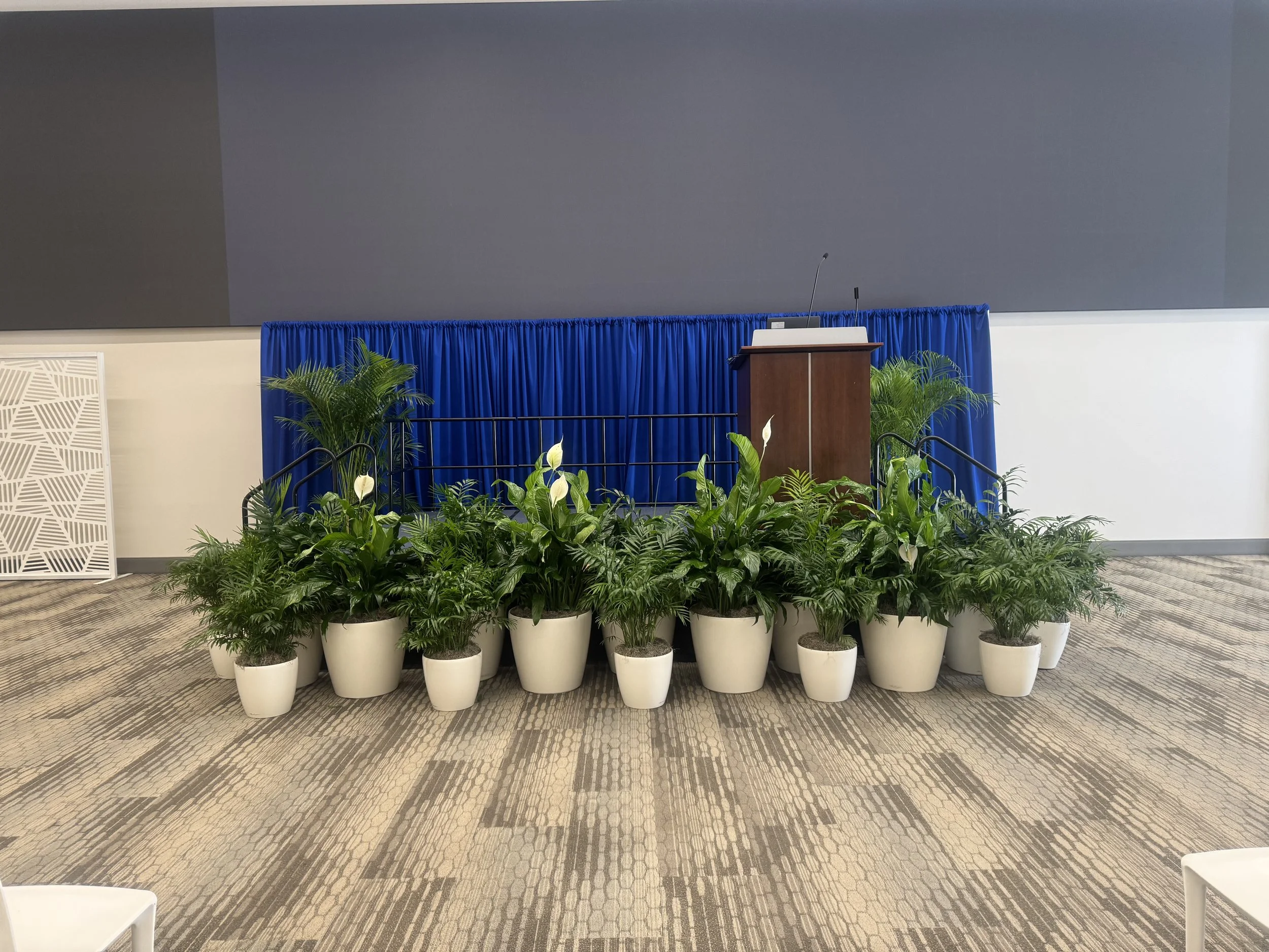 A Living Tribute: Stage Greenery for Memorial Healthcare System’s White Coat Ceremony