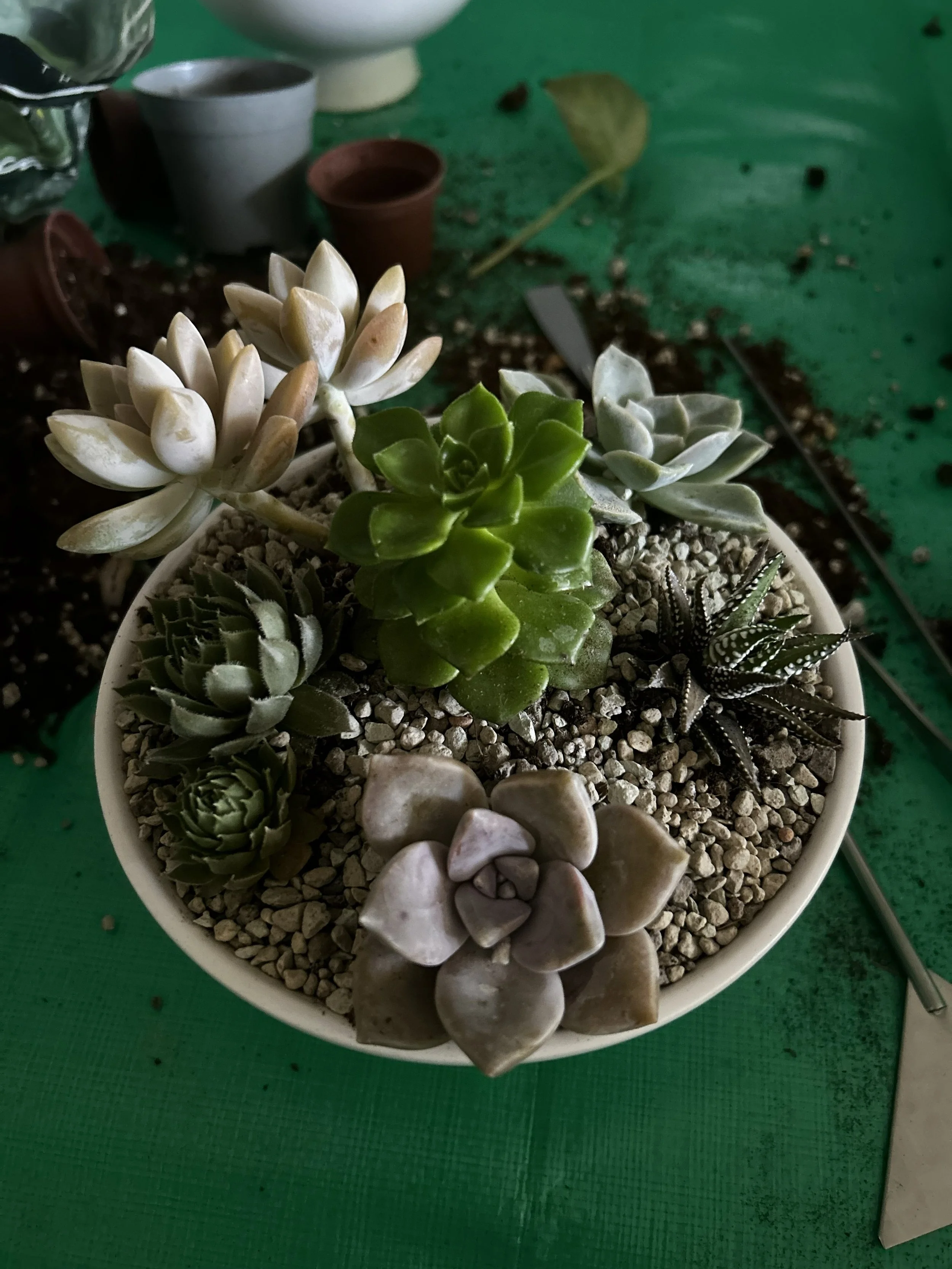 The Botanical Atelier: A Living Experience Designed to Be Remembered