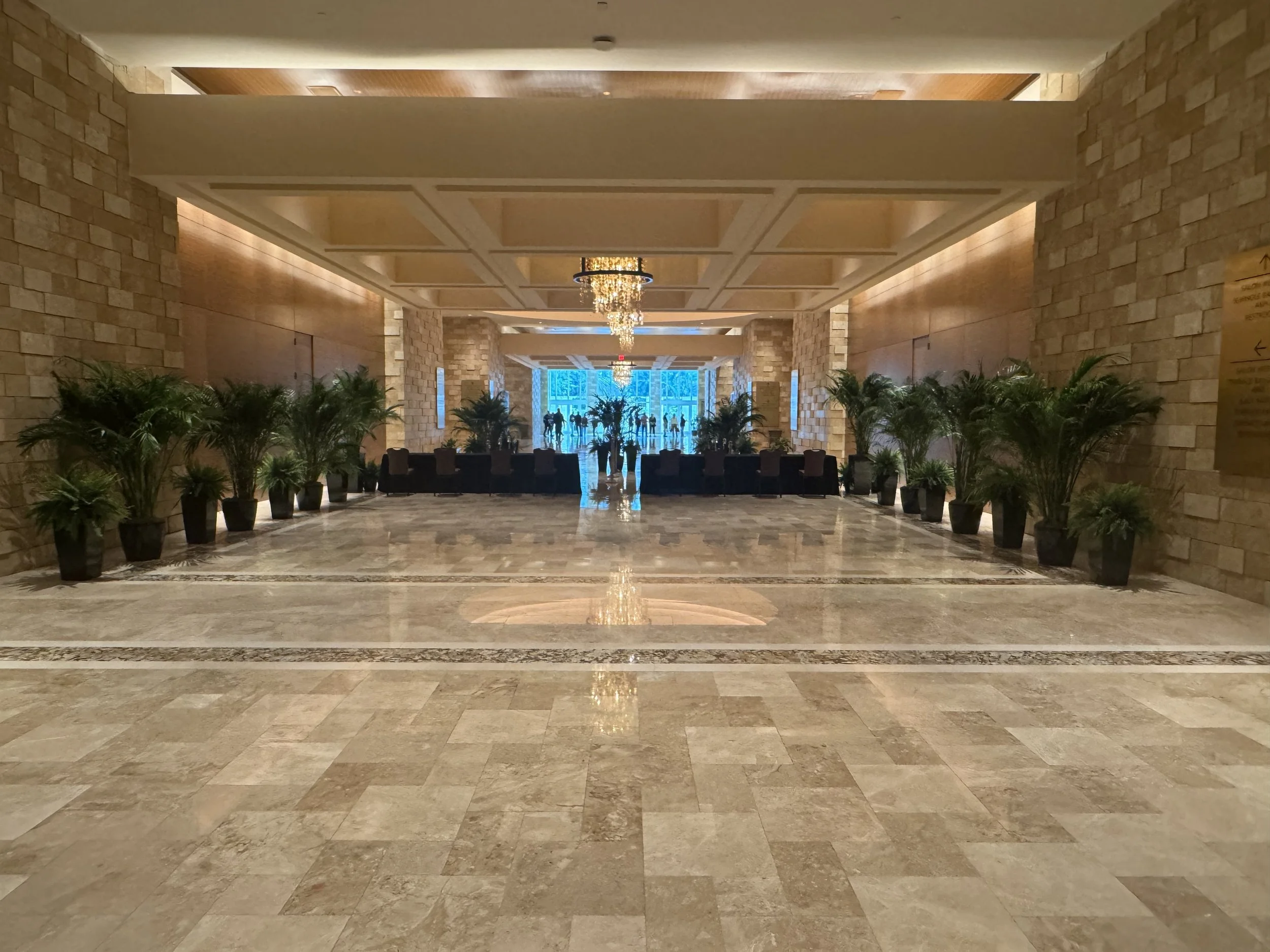 Temporary Tropics l Trusted + Top Live Foliage Rentals l Serving the State of Florida l Highly Rated + Recommended Premier Vendor Partner for Premium Plant Rentals in South Florida, Central Florida, West Florida and North Florida