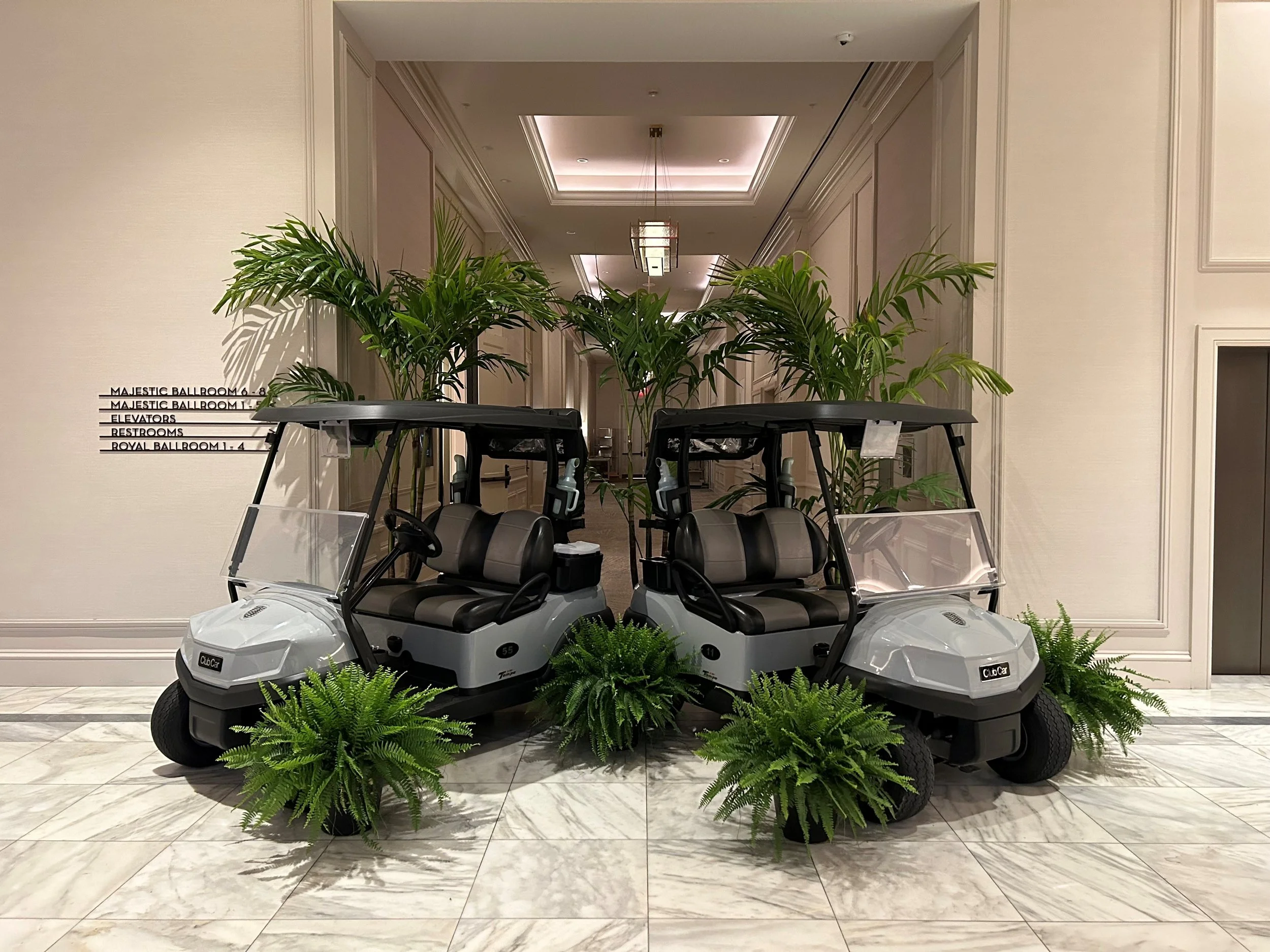 Temporary Tropics provides live foliage rentals for corporate and social events throughout South Florida, in Hotels, conferences and convention centers.