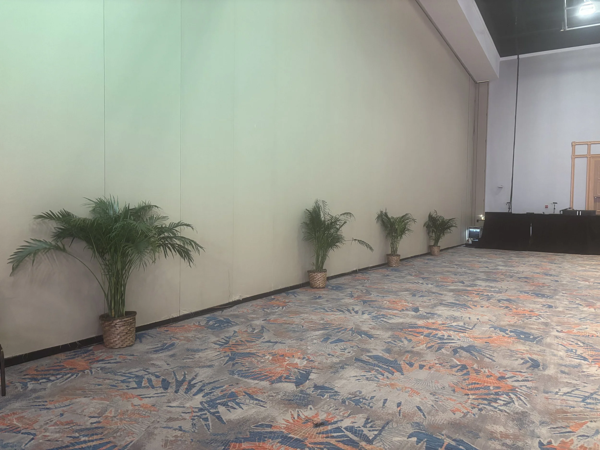 Why Professional Event Plant Rentals Cost More Than "Cheap" Plant Rentals: A Real Story from the Field