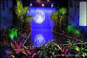 Temporary Tropics provides live foliage rentals for corporate and social events throughout South Florida, in Hotels, conferences and convention centers.
