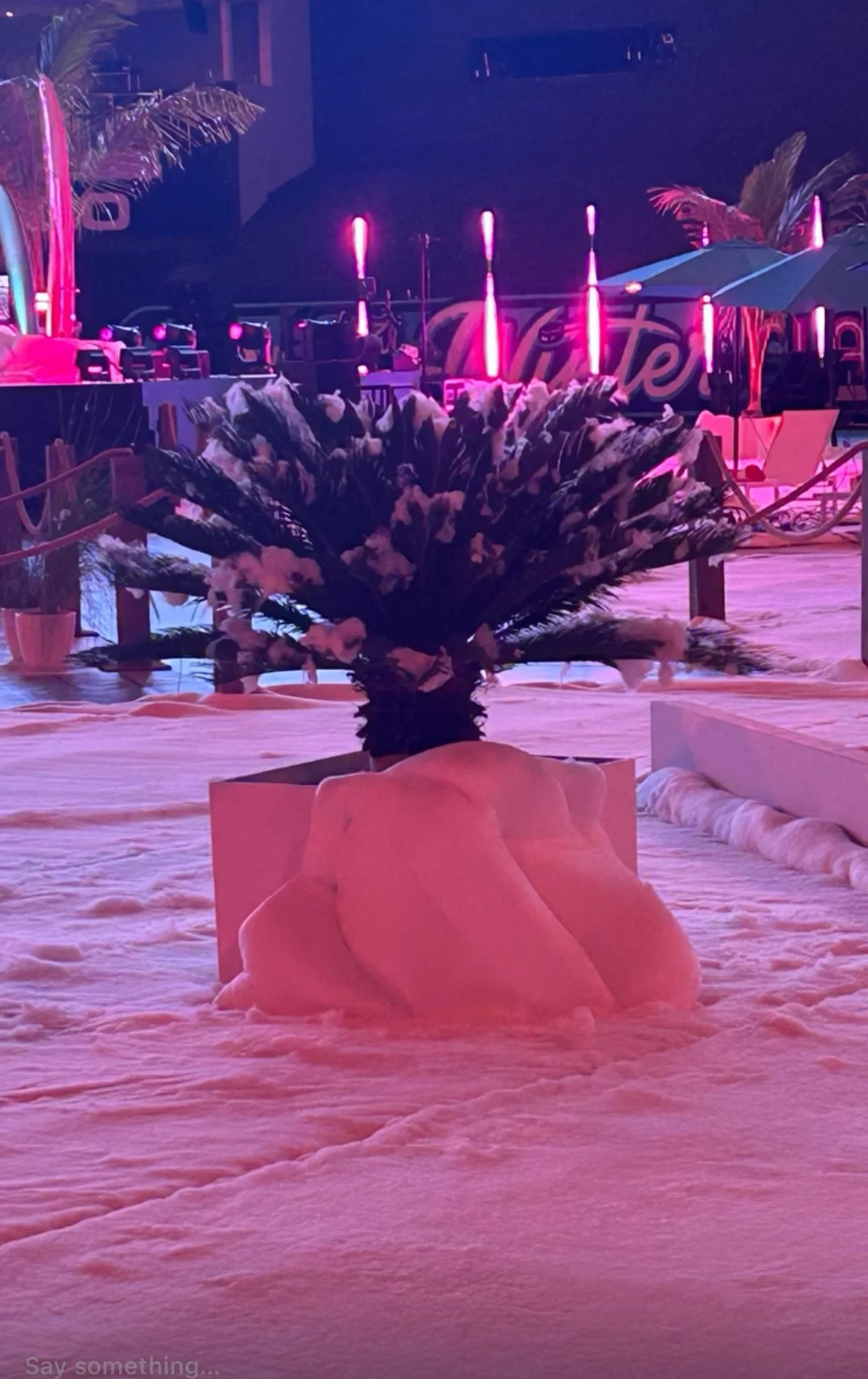 Temporary Tropics did the live foliage for the 2026 NHL Winter Classic in Loan Depot Park, Miami - Florida on January 2, 2026