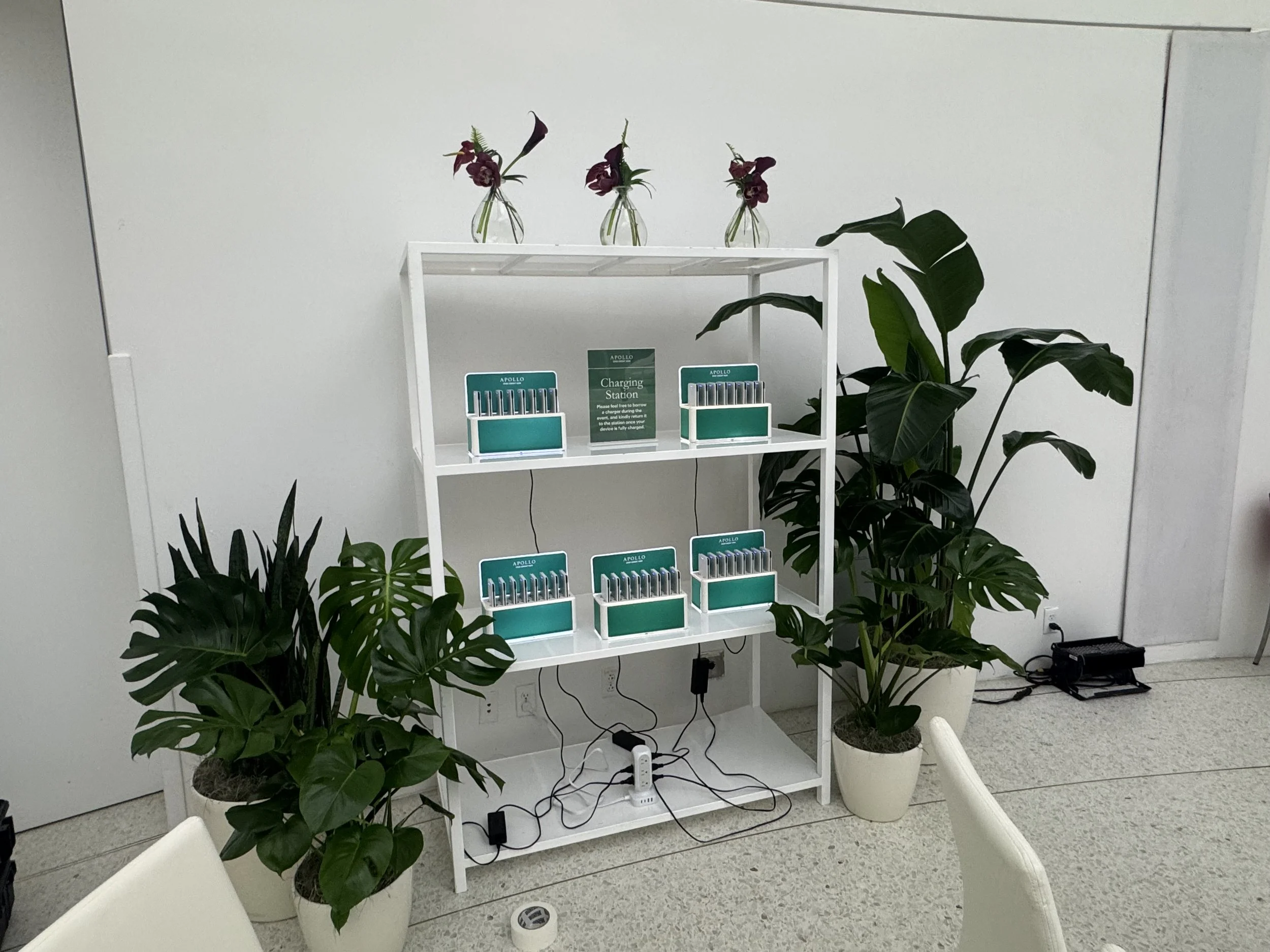 Temporary Tropics l Trusted + Top Live Foliage Rentals l Serving the State of Florida l Highly Rated + Recommended Premier Vendor Partner for Premium Plant Rentals in South Florida, Central Florida, West Florida and North Florid