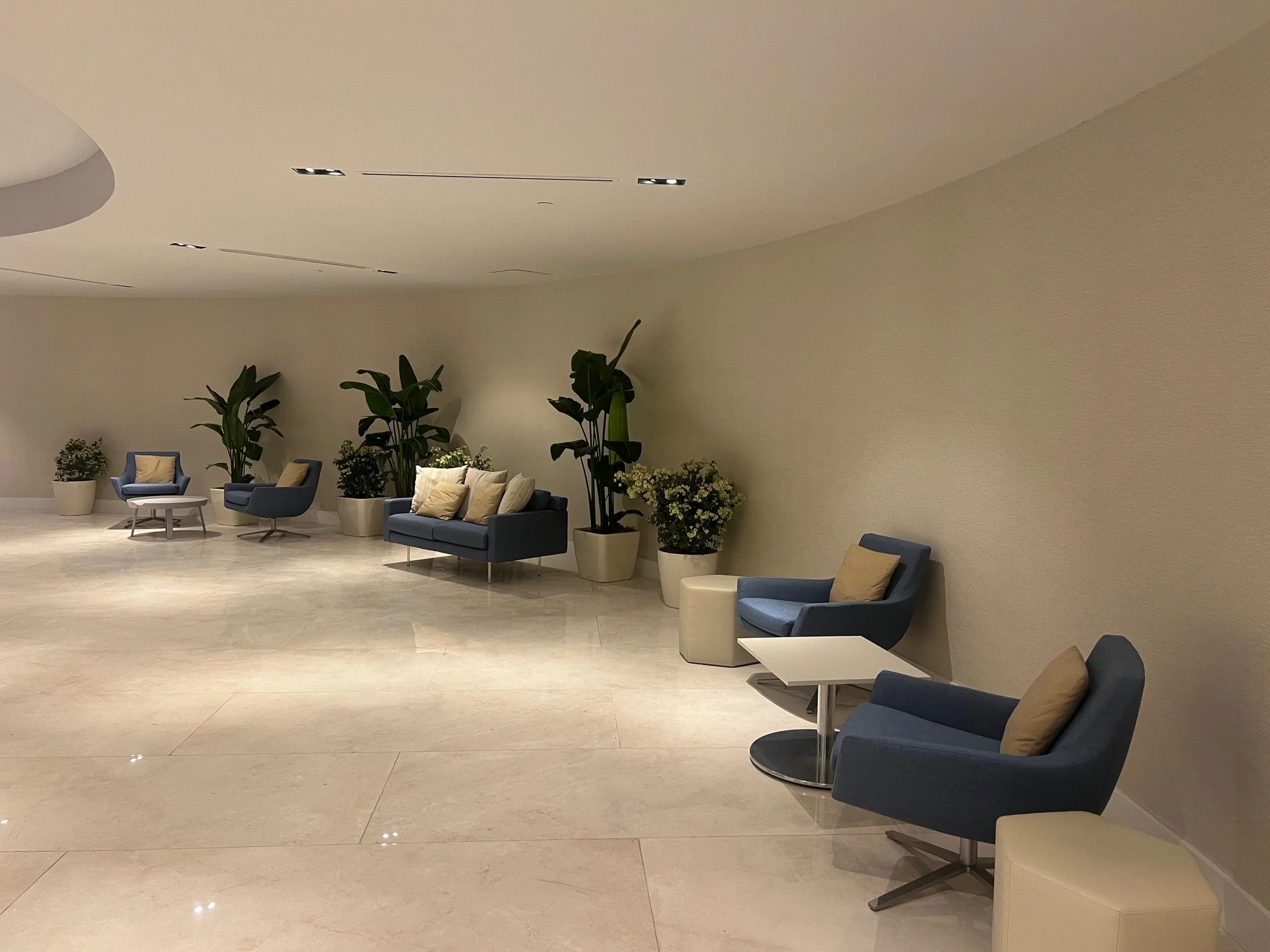 Temporary Tropics l Trusted + Top Live Foliage Rentals l Serving the State of Florida l Highly Rated + Recommended Premier Vendor Partner for Premium Plant Rentals in South Florida, Central Florida, West Florida and North Florida