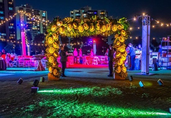 Temporary Tropics l Trusted + Top Biophilic Design + Elevated Experiences Studio l Serving the State of Florida l Highly Rated + Recommended Premier Vendor Partner for Live Foliage + Floral Rentals l Premium Plant Rentals l Corporate + Social Event