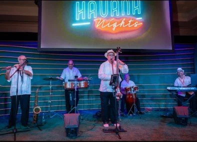 Temporary Tropics l Trusted + Top Biophilic Design + Elevated Experiences Studio  l Serving the State of Florida l Highly Rated + Recommended Premier Vendor Partner for Live Foliage + Floral Rentals l Premium Plant Rentals l Corporate + Social Event 