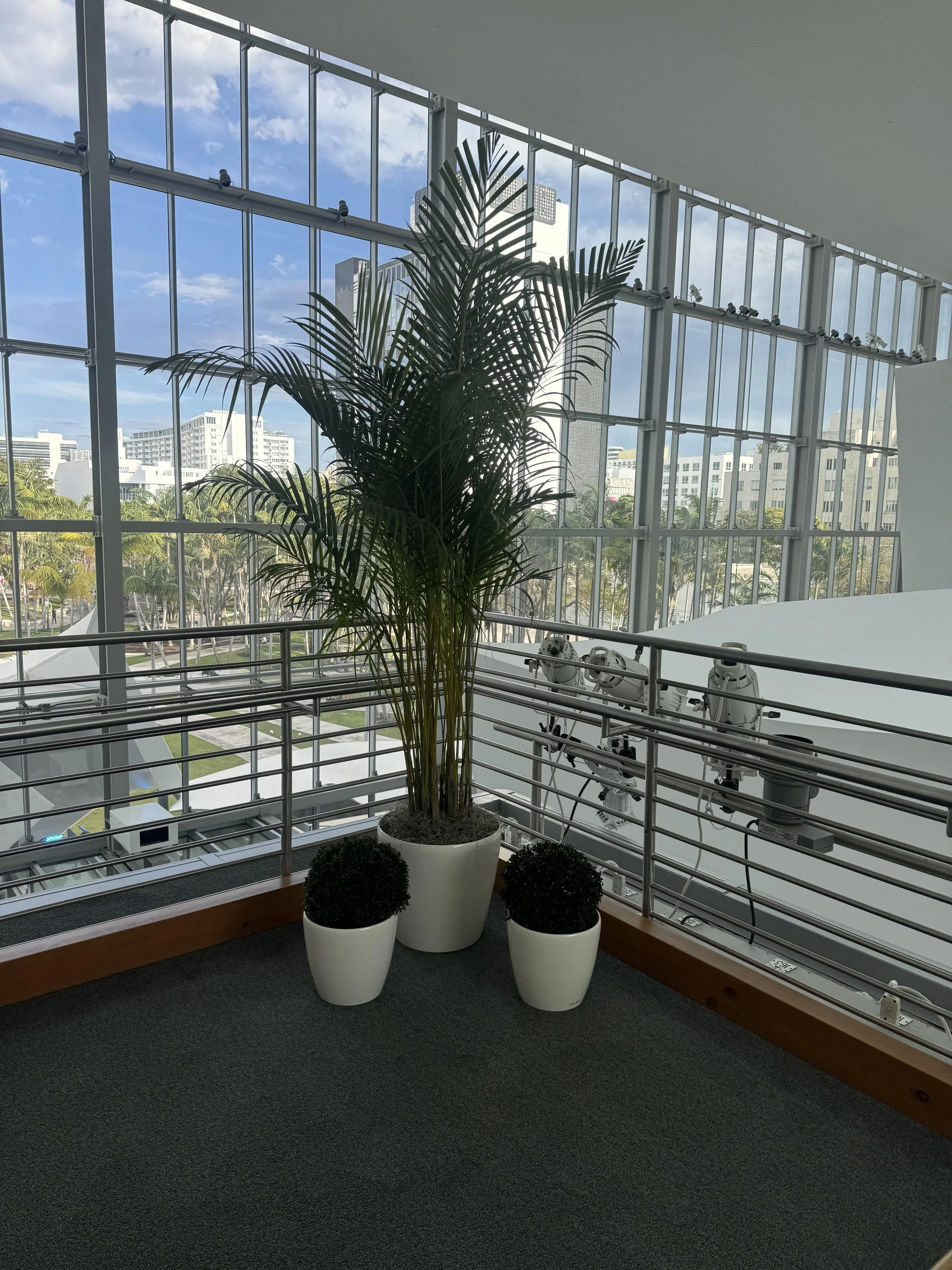 Temporary Tropics l Trusted + Top Live Foliage Rentals l Serving the State of Florida l Highly Rated + Recommended Premier Vendor Partner for Premium Plant Rentals in South Florida, Central Florida, West Florida and North Florida