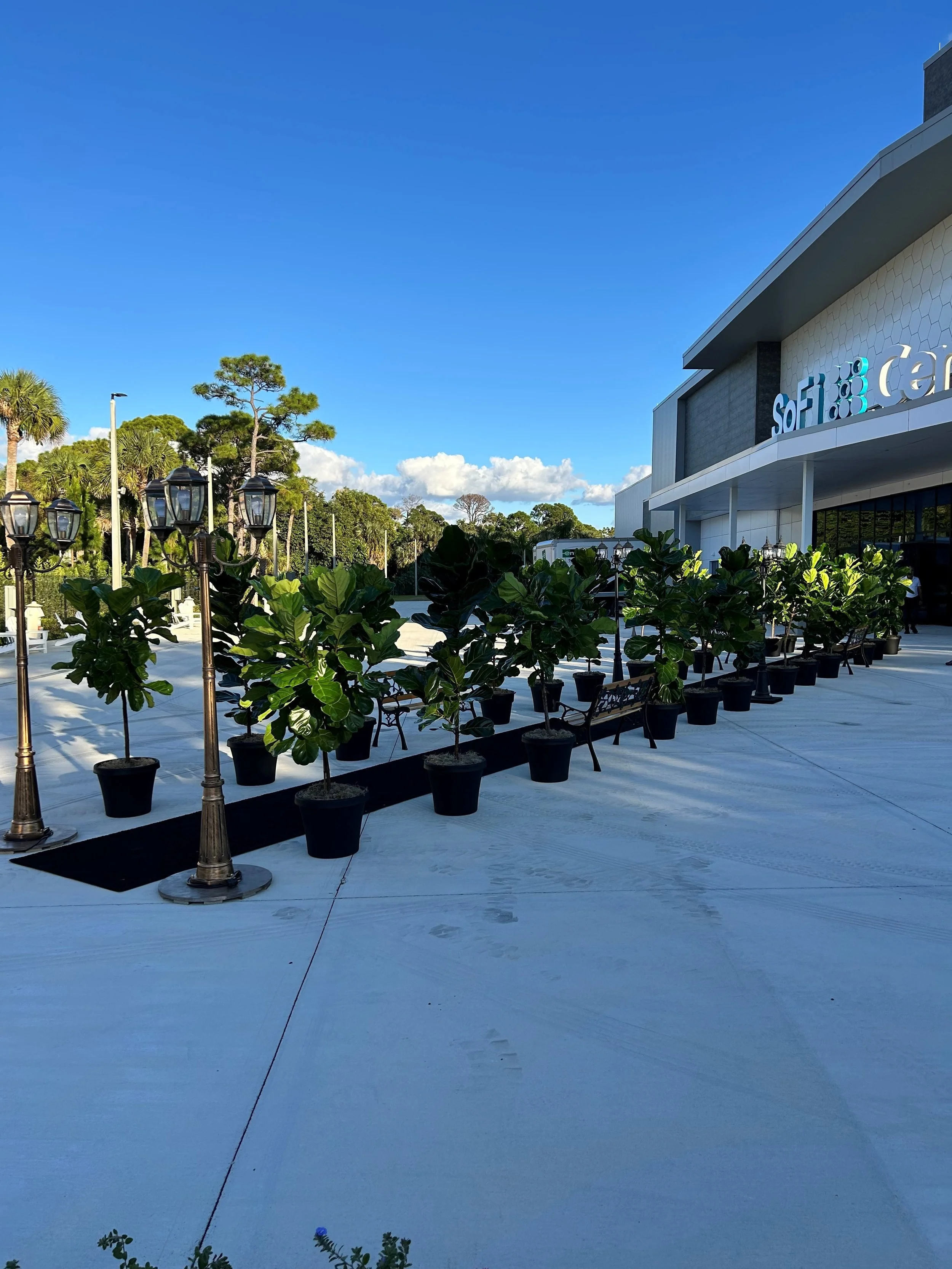 Temporary Tropics provides live foliage rentals for corporate and social events throughout South Florida, in Hotels, conferences and convention centers.