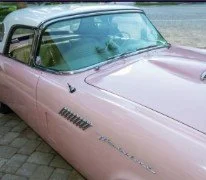 
Temporary Tropics l Trusted + Top Biophilic Design + Elevated Experiences Studio  l Florid-Based l Highly Rated + Recommended Premier Vendor Partner for Live Foliage + Floral Rentals l Premium Plant Rentals l Corporate + Social Event Decor, Entertai