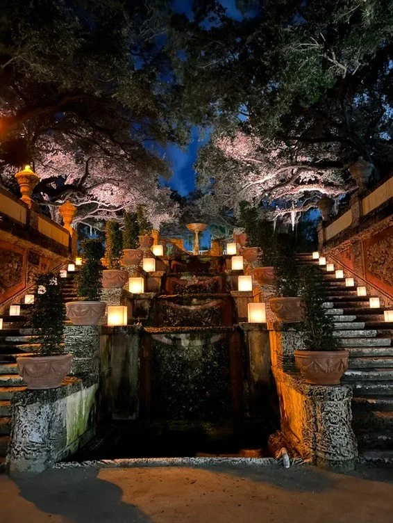 Temporary Tropics l Trusted + Top Biophilic Design + Elevated Experiences Studio  l Serving the State of Florida l Highly Rated + Recommended Premier Vendor Partner for Live Foliage + Floral Rentals l Premium Plant Rentals l Corporate + Social Event 