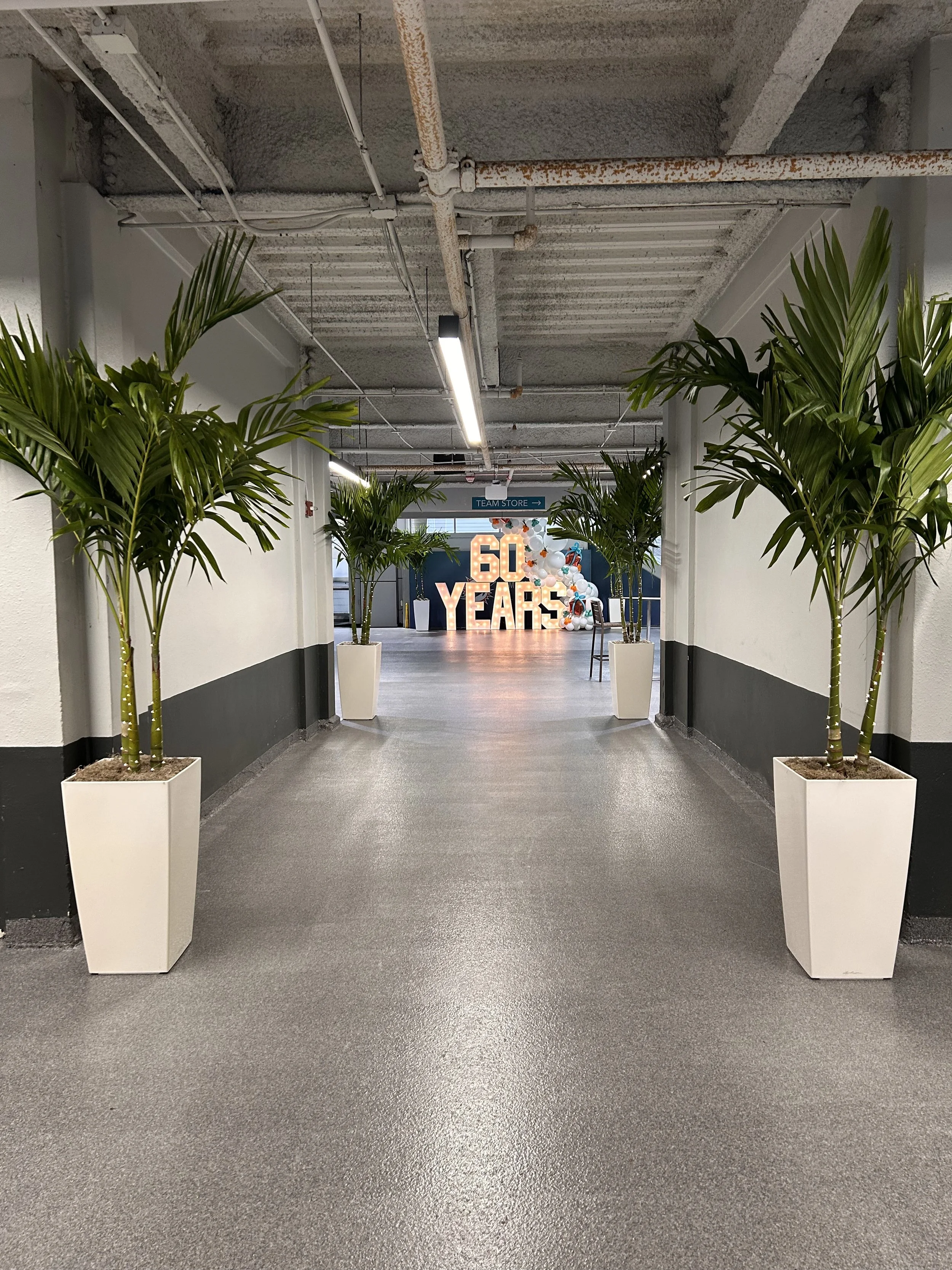 Temporary Tropics did the live foliage for the Miami Dolphins Alumni Foundation at the Hard Rock Stadium in Miami - Florida in December 2025