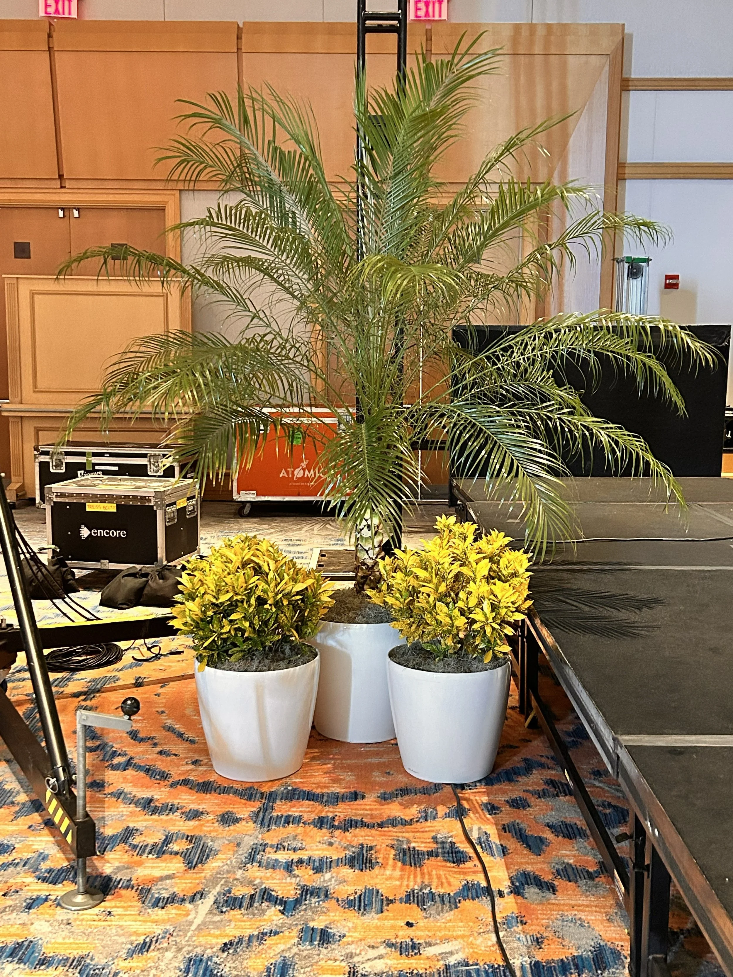 McDonald’s Stage Plant Rentals | Temporary Tropics