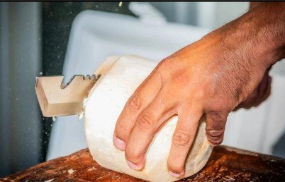 Temporary Tropics l Trusted + Top Biophilic Design + Elevated Experiences Studio  l Serving the State of Florida l Highly Rated + Recommended Premier Vendor Partner for Live Foliage + Floral Rentals l Premium Plant Rentals l Corporate + Social Event 