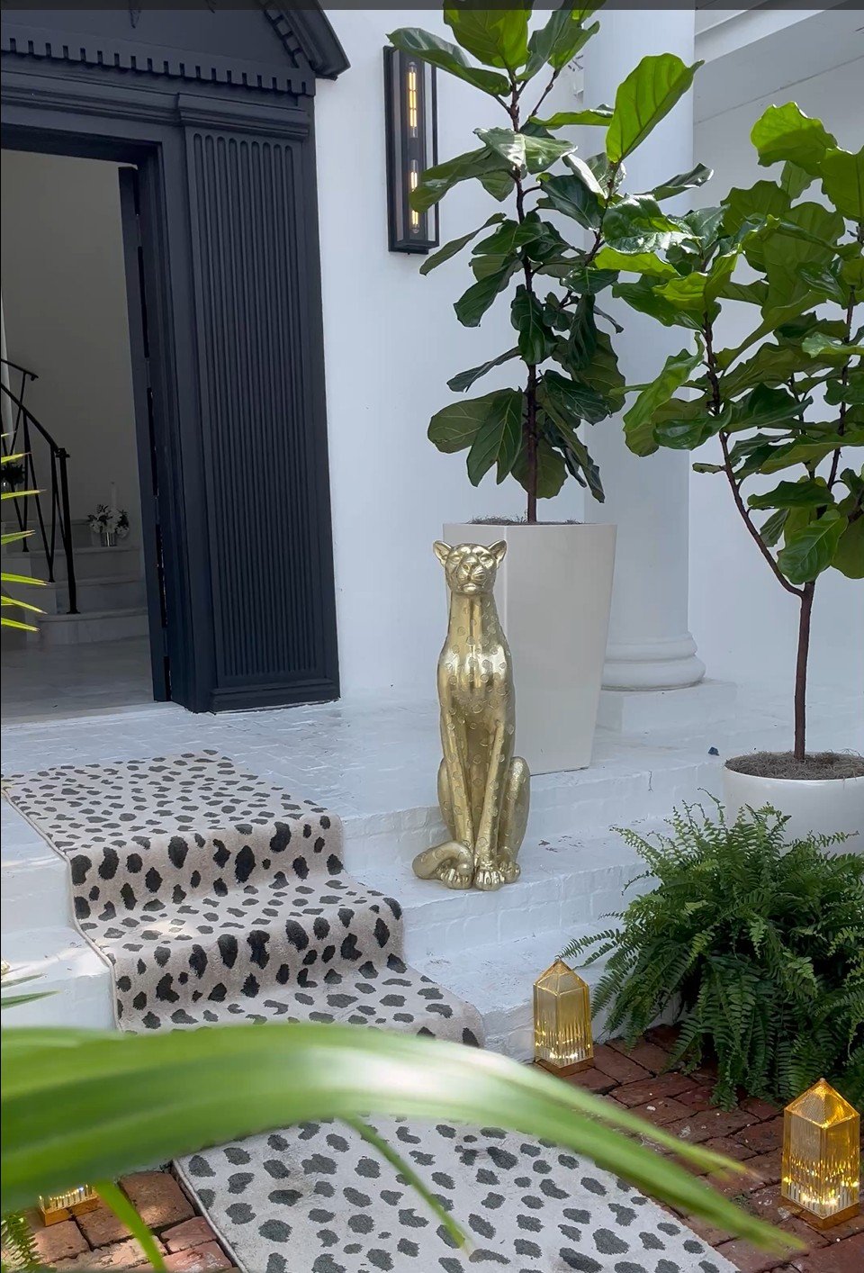 Temporary Tropics l Trusted + Top Live Foliage Rentals l Serving the State of Florida l Highly Rated + Recommended Premier Vendor Partner for Premium Plant Rentals in South Florida, Central Florida, West Florida and North Florid