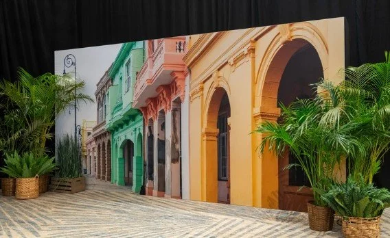 Temporary Tropics l Trusted + Top Biophilic Design + Elevated Experiences Studio  l Serving the State of Florida l Highly Rated + Recommended Premier Vendor Partner for Live Foliage + Floral Rentals l Premium Plant Rentals l Corporate + Social Event 