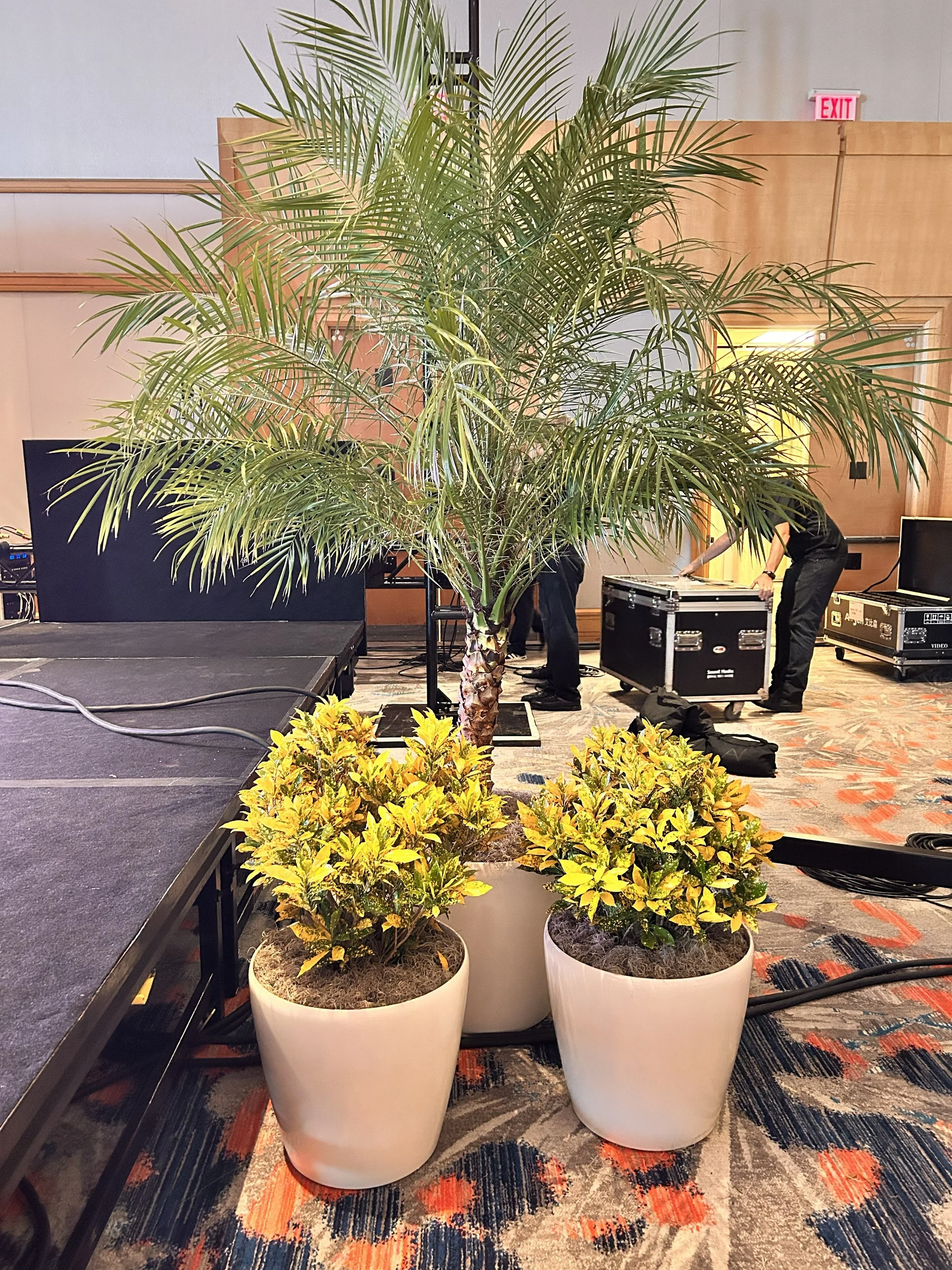 McDonald’s Stage Plant Rentals | Temporary Tropics
