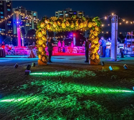 Temporary Tropics l Trusted + Top Biophilic Design + Elevated Experiences Studio  l Serving the State of Florida l Highly Rated + Recommended Premier Vendor Partner for Live Foliage + Floral Rentals l Premium Plant Rentals l Corporate + Social Event 