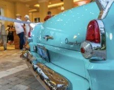 Temporary Tropics l Trusted + Top Biophilic Design + Elevated Experiences Studio  l Serving the State of Florida l Highly Rated + Recommended Premier Vendor Partner for Live Foliage + Floral Rentals l Premium Plant Rentals l Corporate + Social Event 