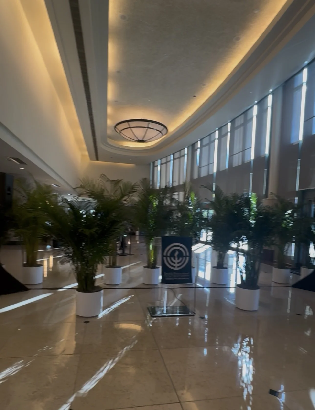 Temporary Tropics l Trusted + Top Live Foliage Rentals l Serving the State of Florida l Highly Rated + Recommended Premier Vendor Partner for Premium Plant Rentals in South Florida, Central Florida, West Florida and North Florida