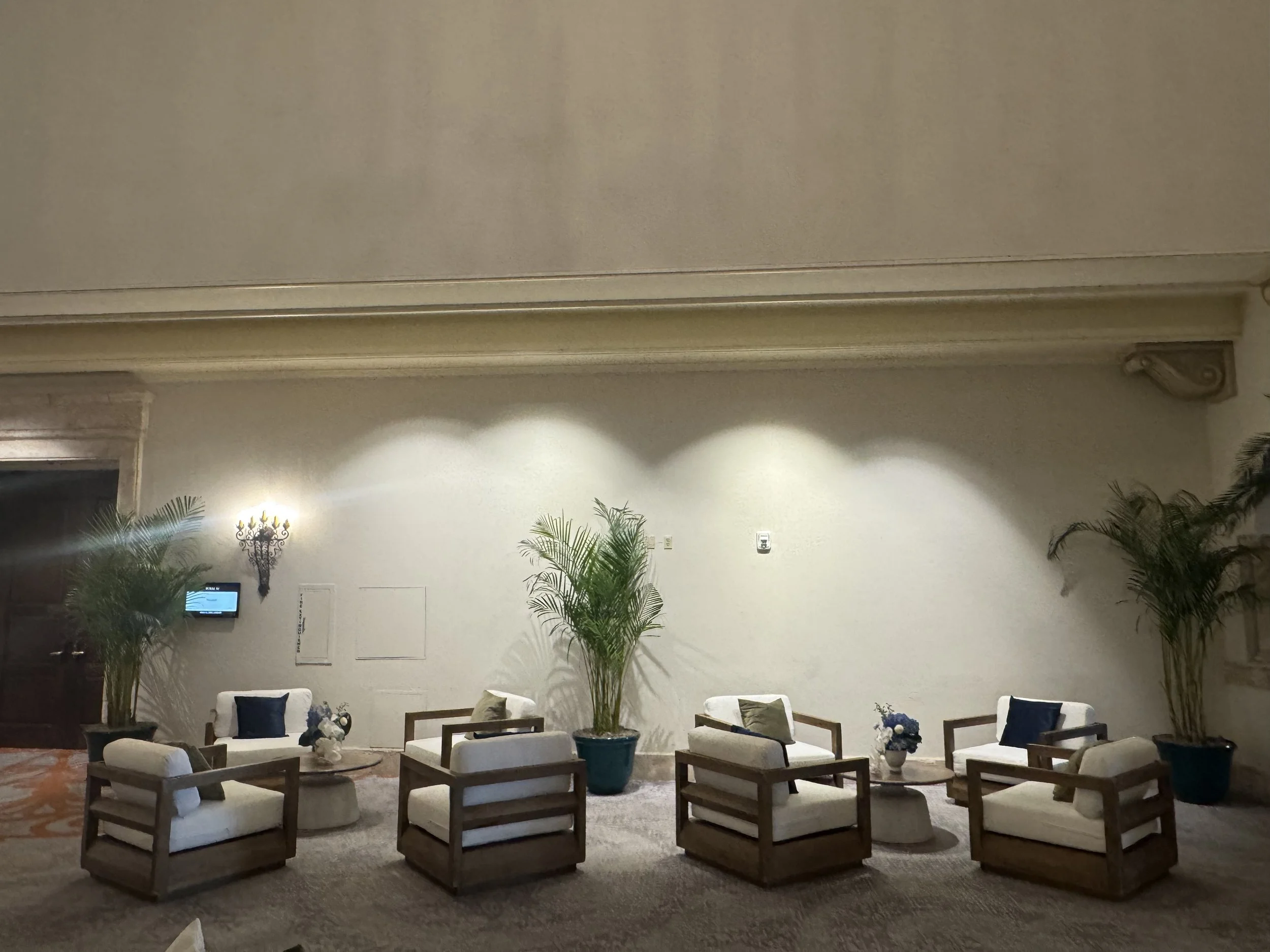 Temporary Tropics l Trusted + Top Live Foliage Rentals l Serving the State of Florida l Highly Rated + Recommended Premier Vendor Partner for Premium Plant Rentals in South Florida, Central Florida, West Florida and North Florida