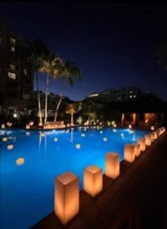 
Temporary Tropics l Trusted + Top Biophilic Design + Elevated Experiences Studio  l Florid-Based l Highly Rated + Recommended Premier Vendor Partner for Live Foliage + Floral Rentals l Premium Plant Rentals l Corporate + Social Event Decor, Entertai