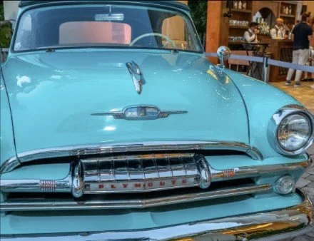 
Temporary Tropics l Trusted + Top Biophilic Design + Elevated Experiences Studio  l Florid-Based l Highly Rated + Recommended Premier Vendor Partner for Live Foliage + Floral Rentals l Premium Plant Rentals l Corporate + Social Event Decor, Entertai